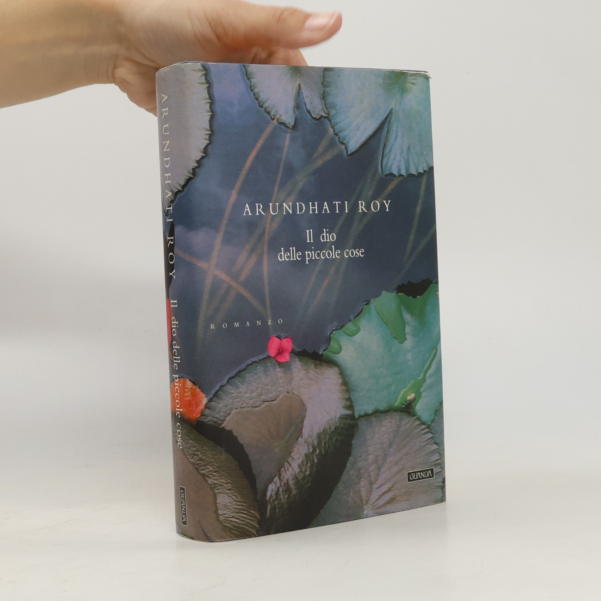 Arundhati Roy Il dio delle piccole cose