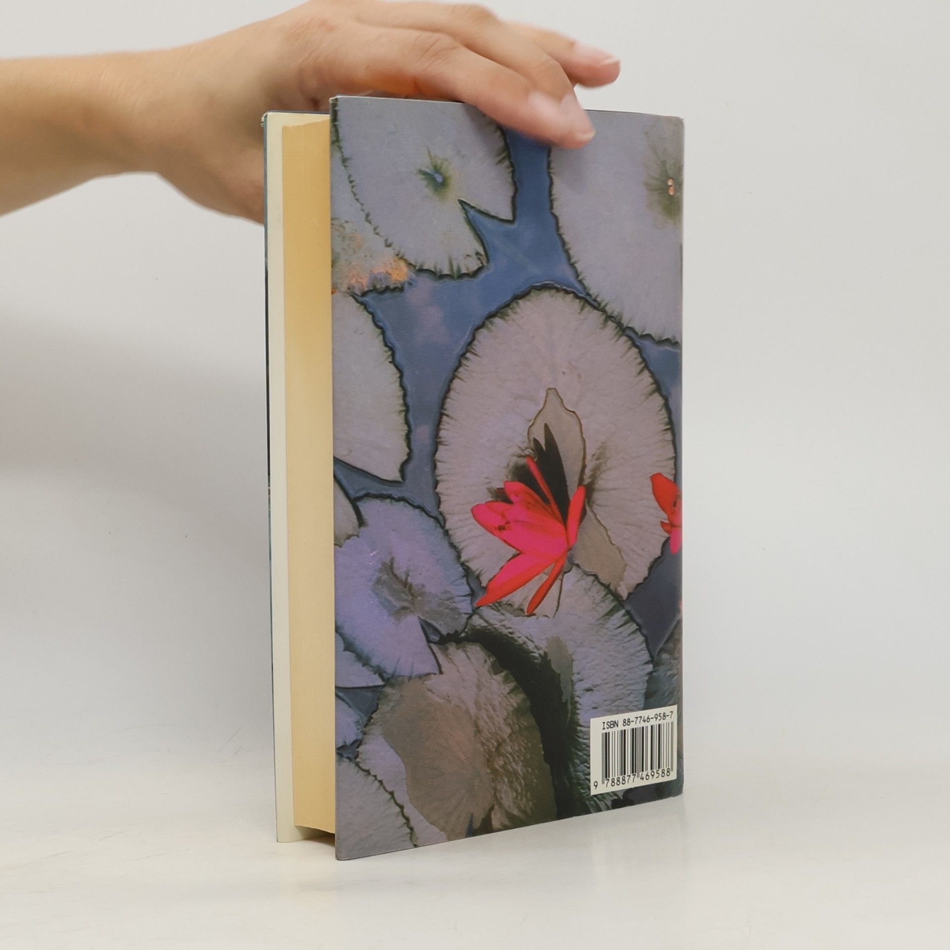 Arundhati Roy Il dio delle piccole cose