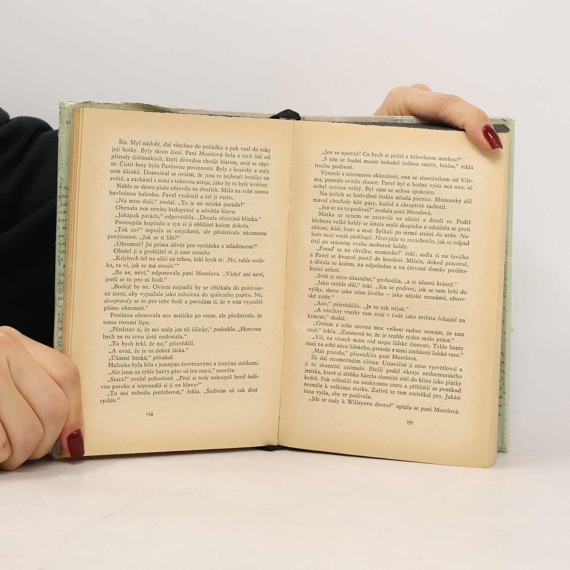 D. H. Lawrence Synové a milenci