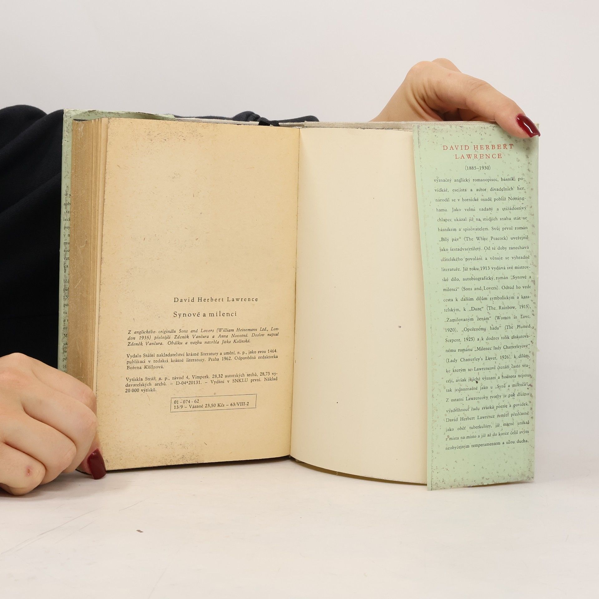 D. H. Lawrence Synové a milenci