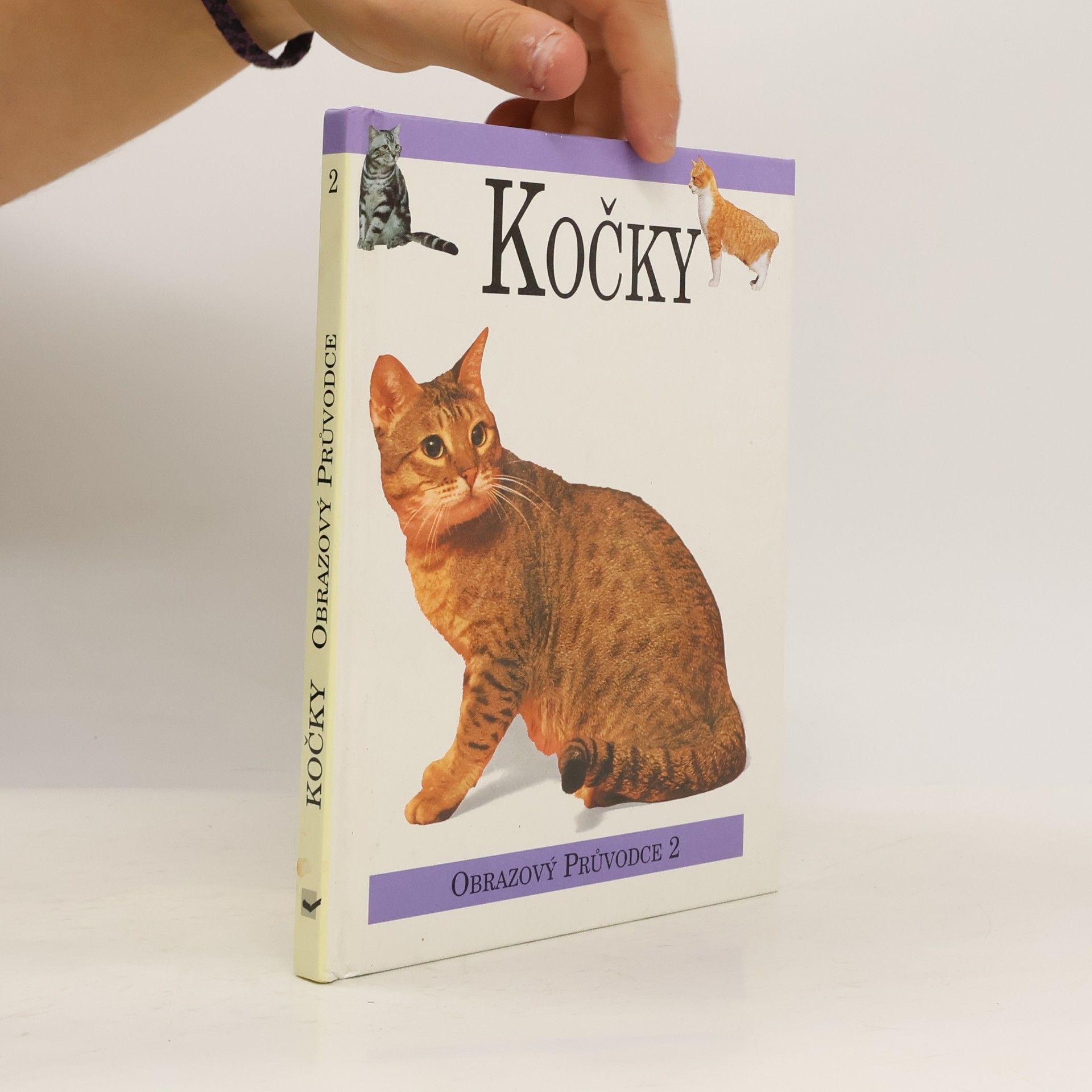 Kočky
