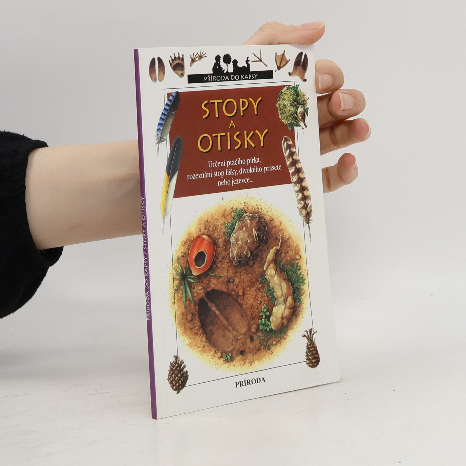 Catherine Fichaux Stopy a otisky