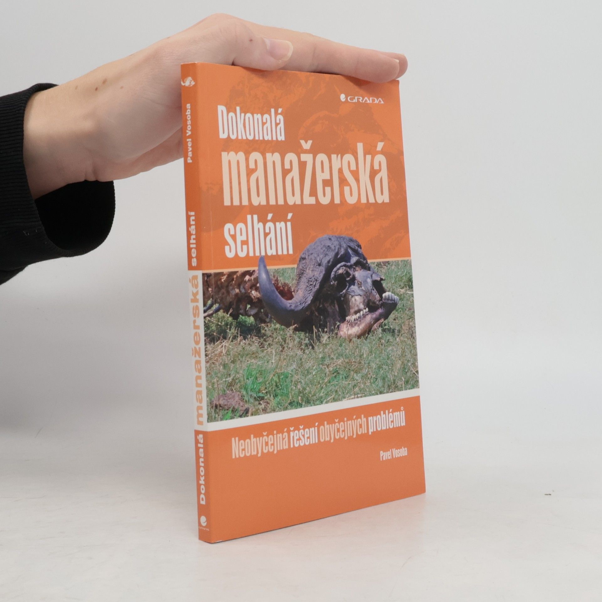 Dokonalá manažerská selhání : neobyčejná řešení obyčejných problémů