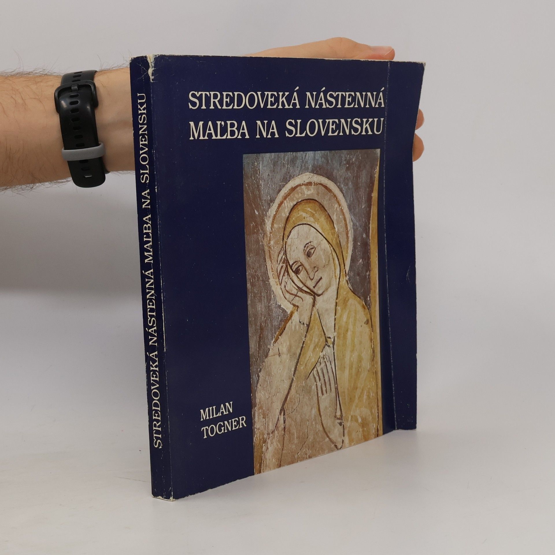 Milan Togner Stredoveká nástenná maľba na Slovensku