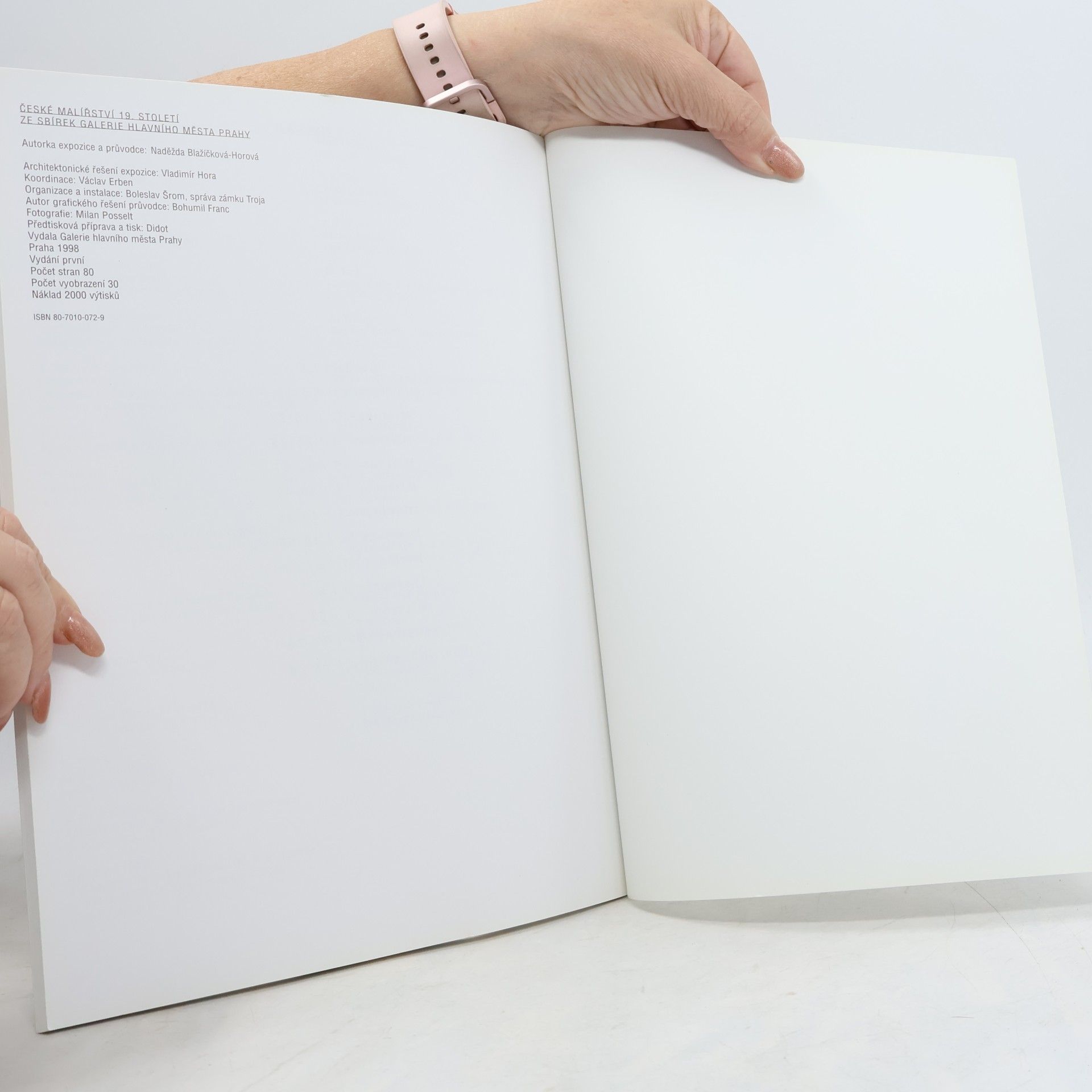 Naděžda Blažíčková-Horová Průvodce sbírkou českého malířství 19. století