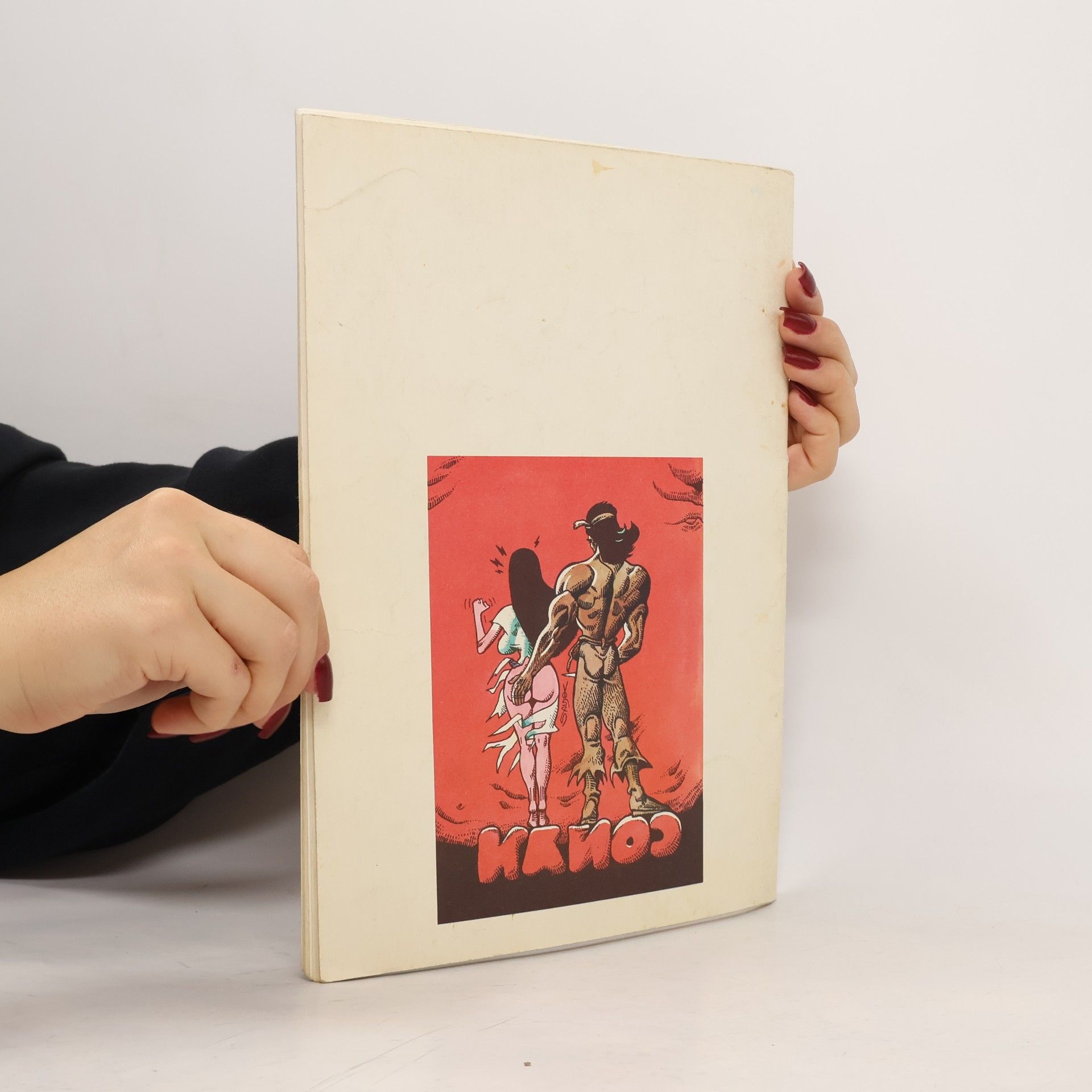 Robert E. Howard Poutník 1/1991. Conan: Lidé černého kruhu
