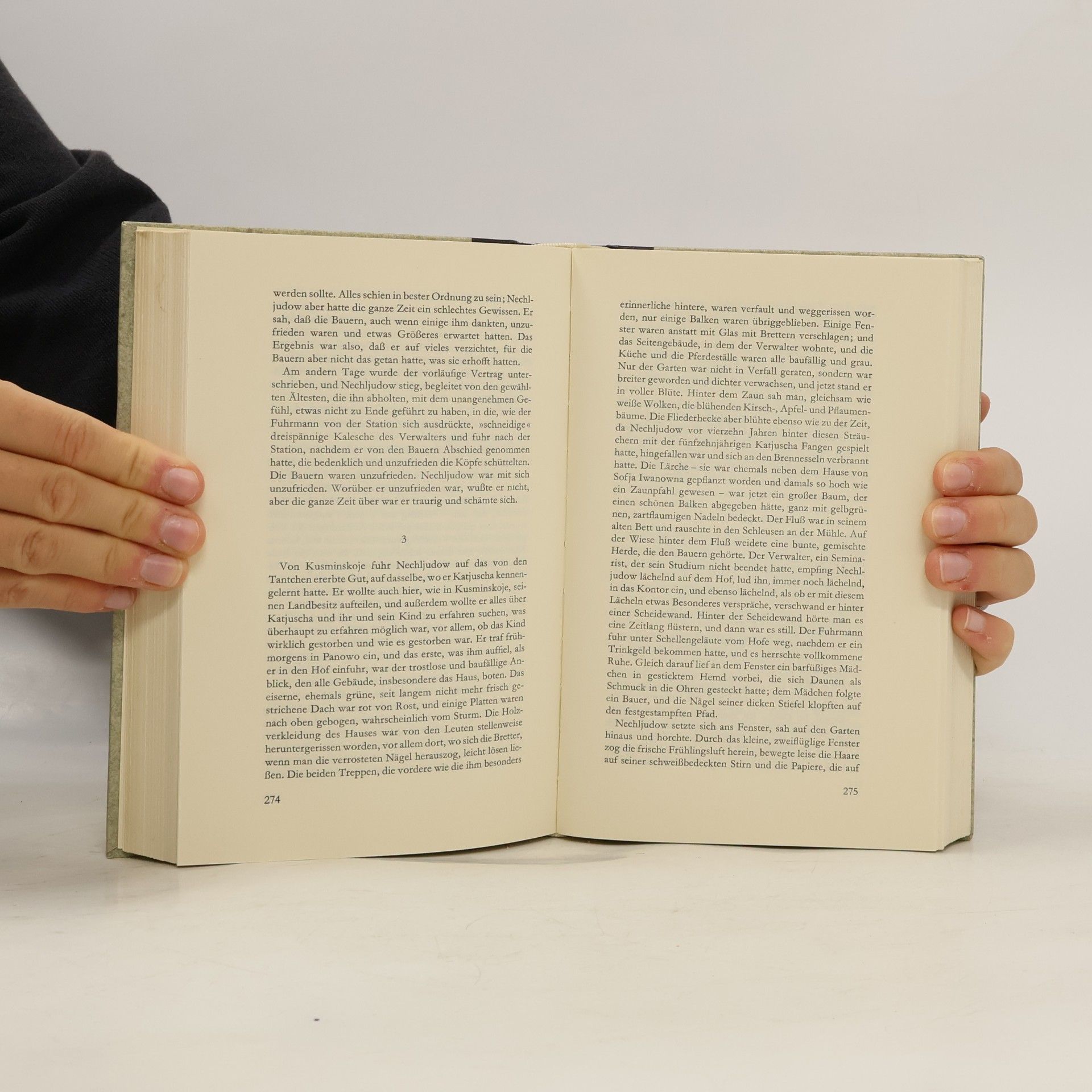 Lew Nikolajewitsch Tolstoi Auferstehung