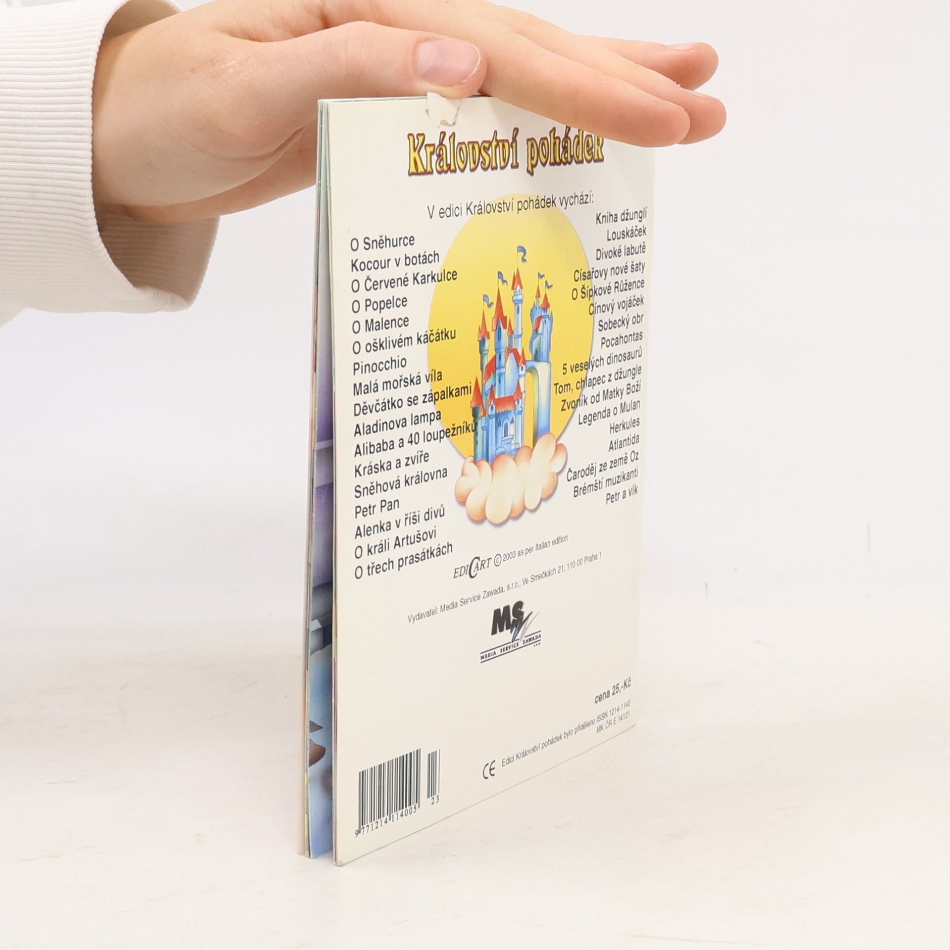 Kolektiv autorů Království pohádek. Cínový vojáček