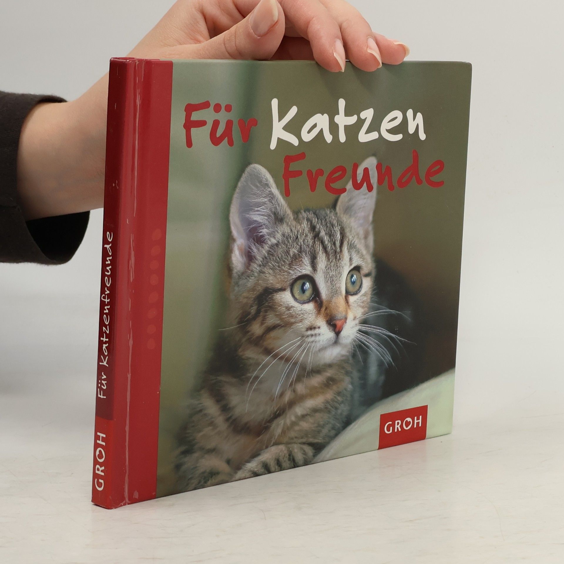 Nina Sandmann Für Katzenfreunde