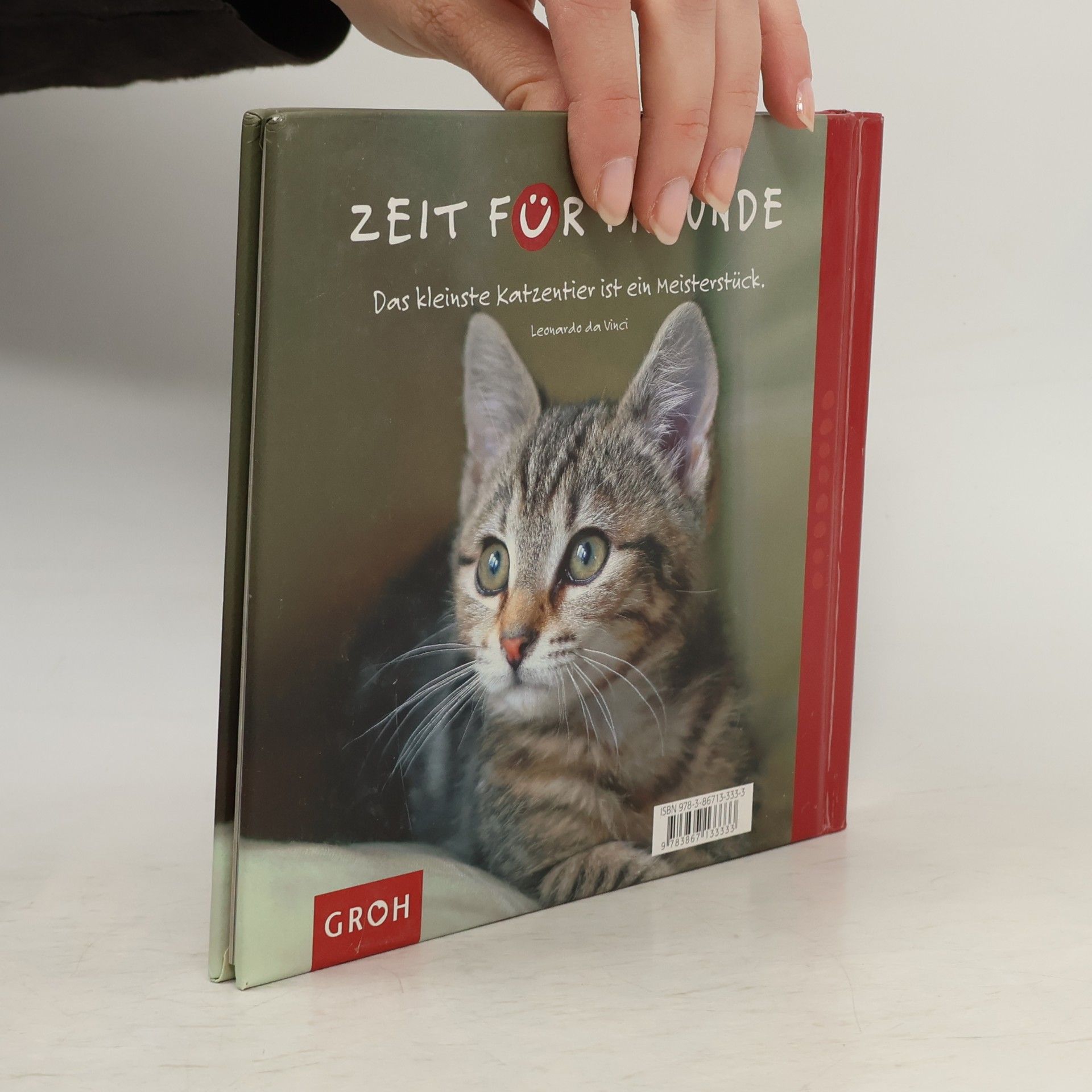 Nina Sandmann Für Katzenfreunde