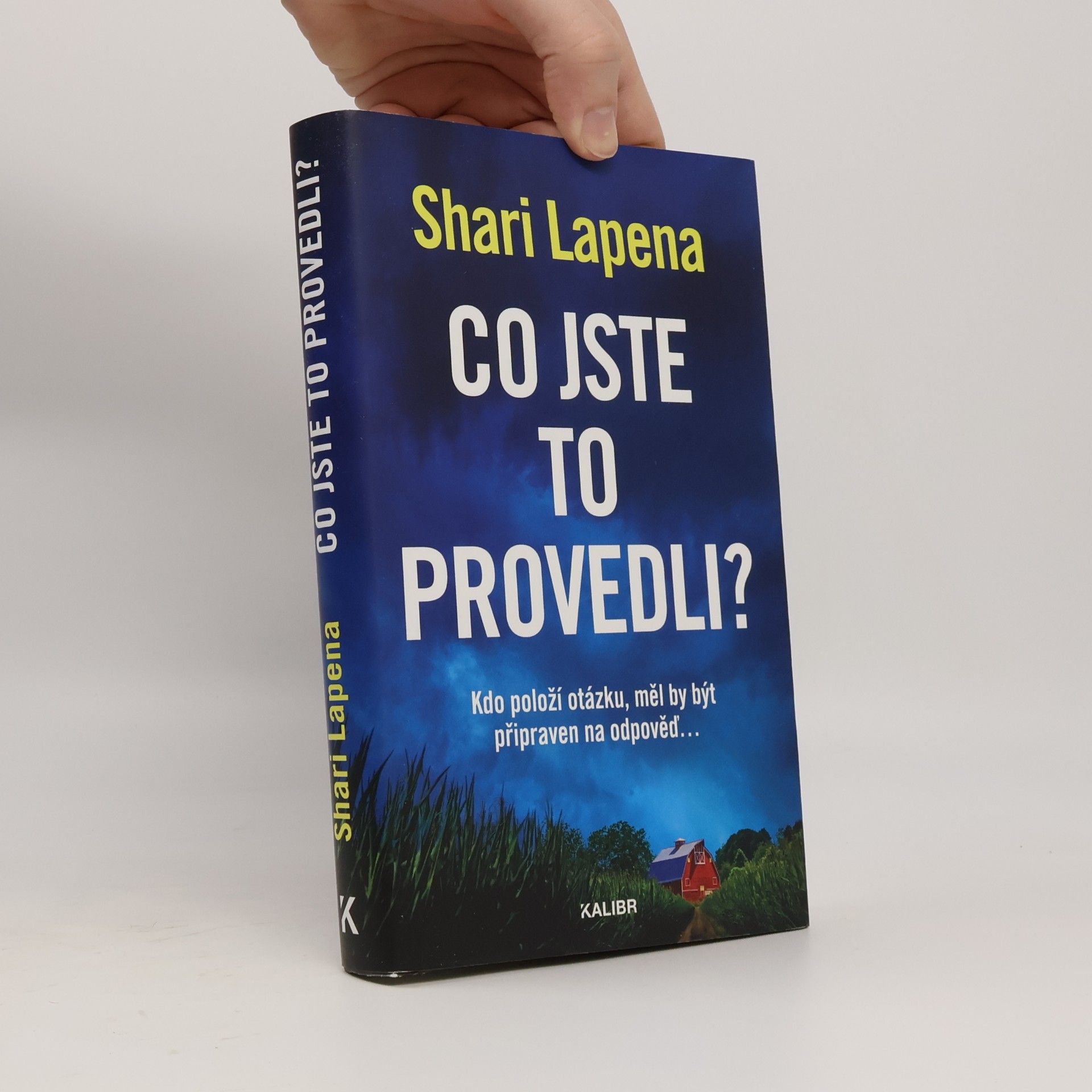 Shari Lapena Co jste to provedli?