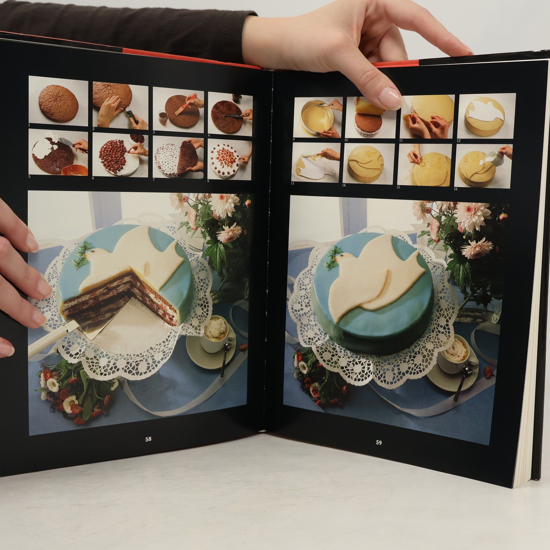 Marianne Saul DuMont's schmackhafter Ratgeber für vergnügte Kuchenbäcker