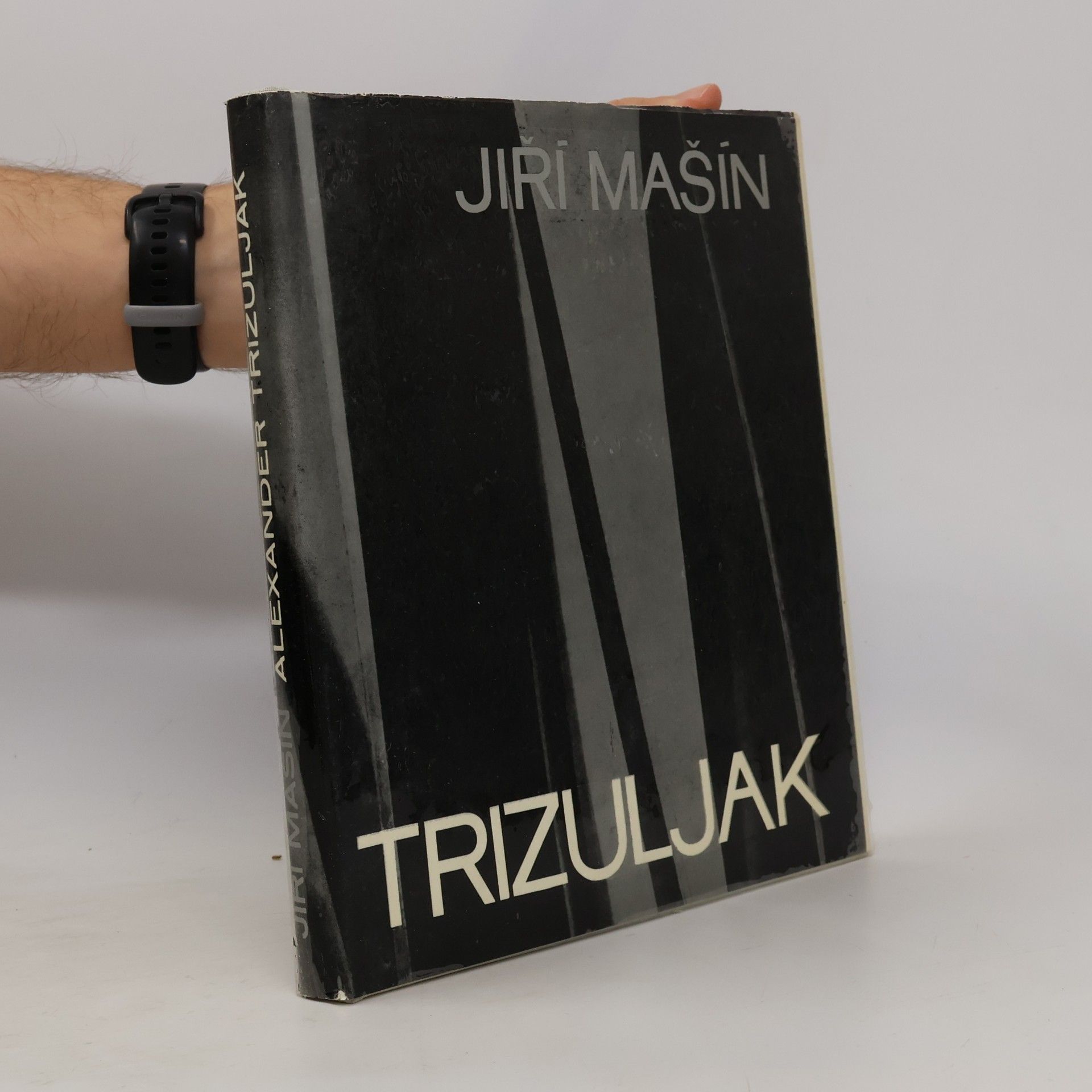 Jiří Mašín Alexander Trizuljak