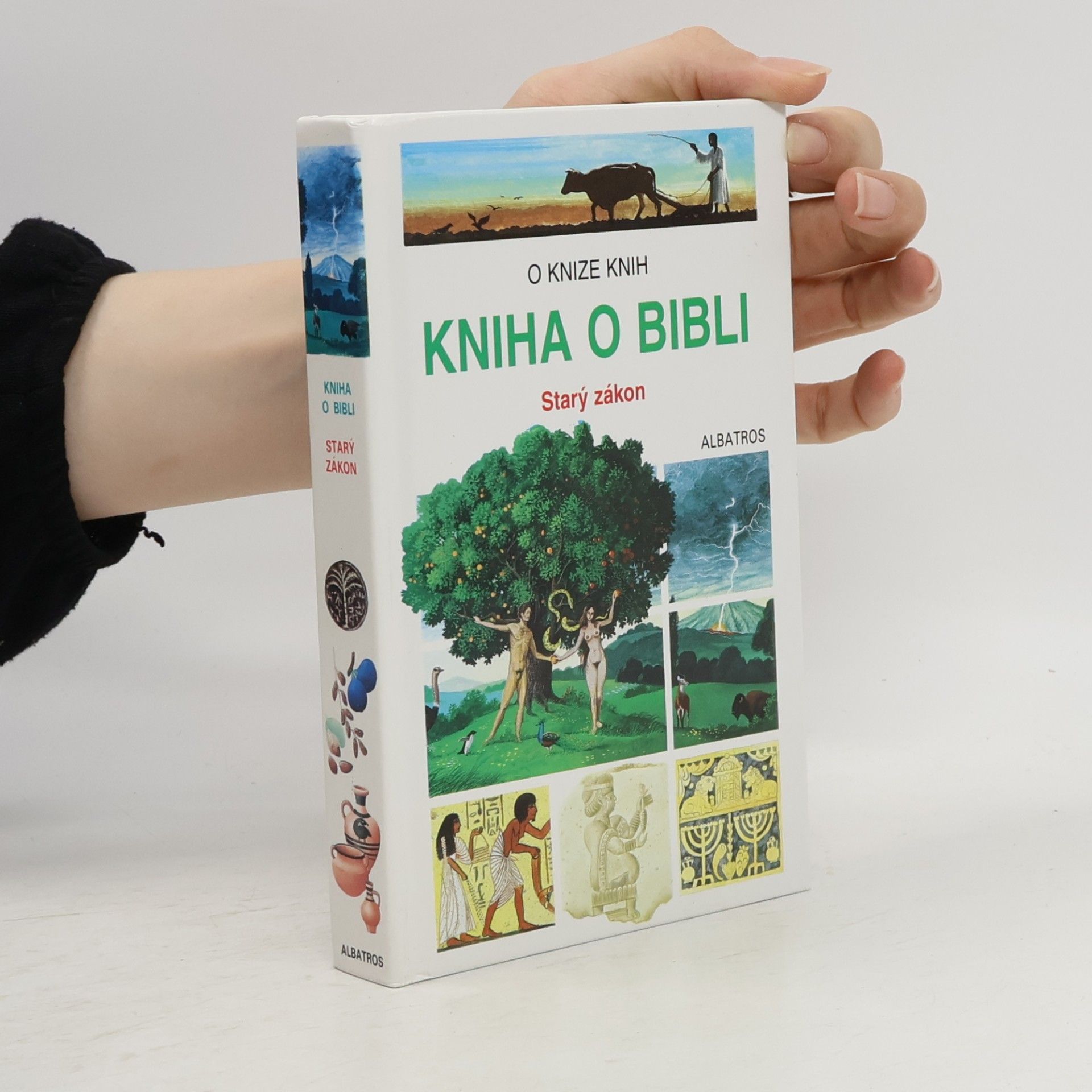 Kniha o Bibli : Starý zákon