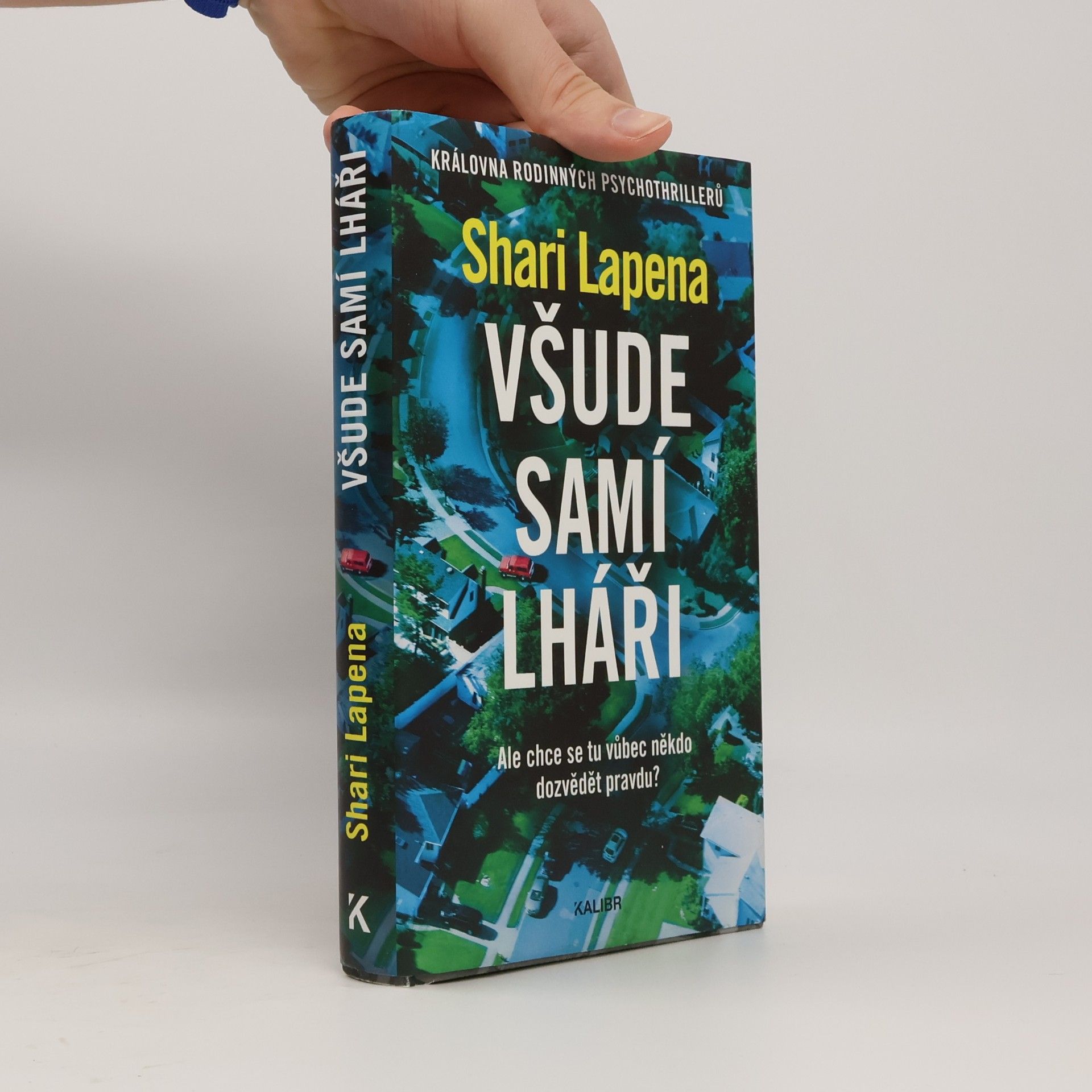 Shari Lapena Všude samí lháři