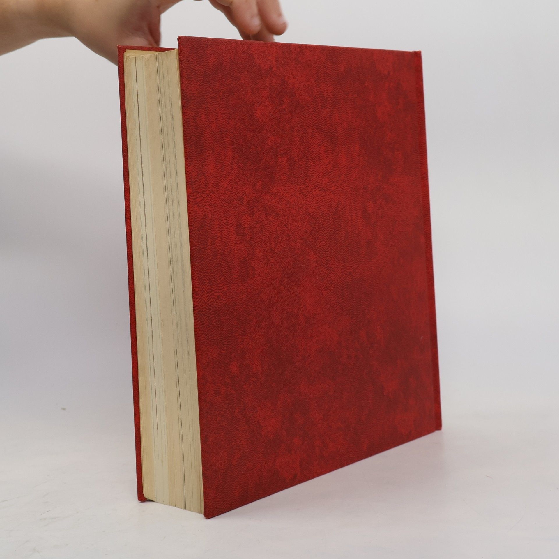 Autorenkollektiv Die ersten Hochkulturen : Urzeit - 1200