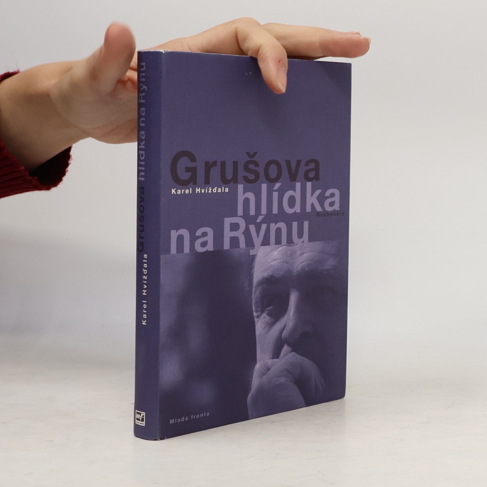 Jiří Gruša Grušova hlídka na Rýnu: Rozhovory z let 1983-2011