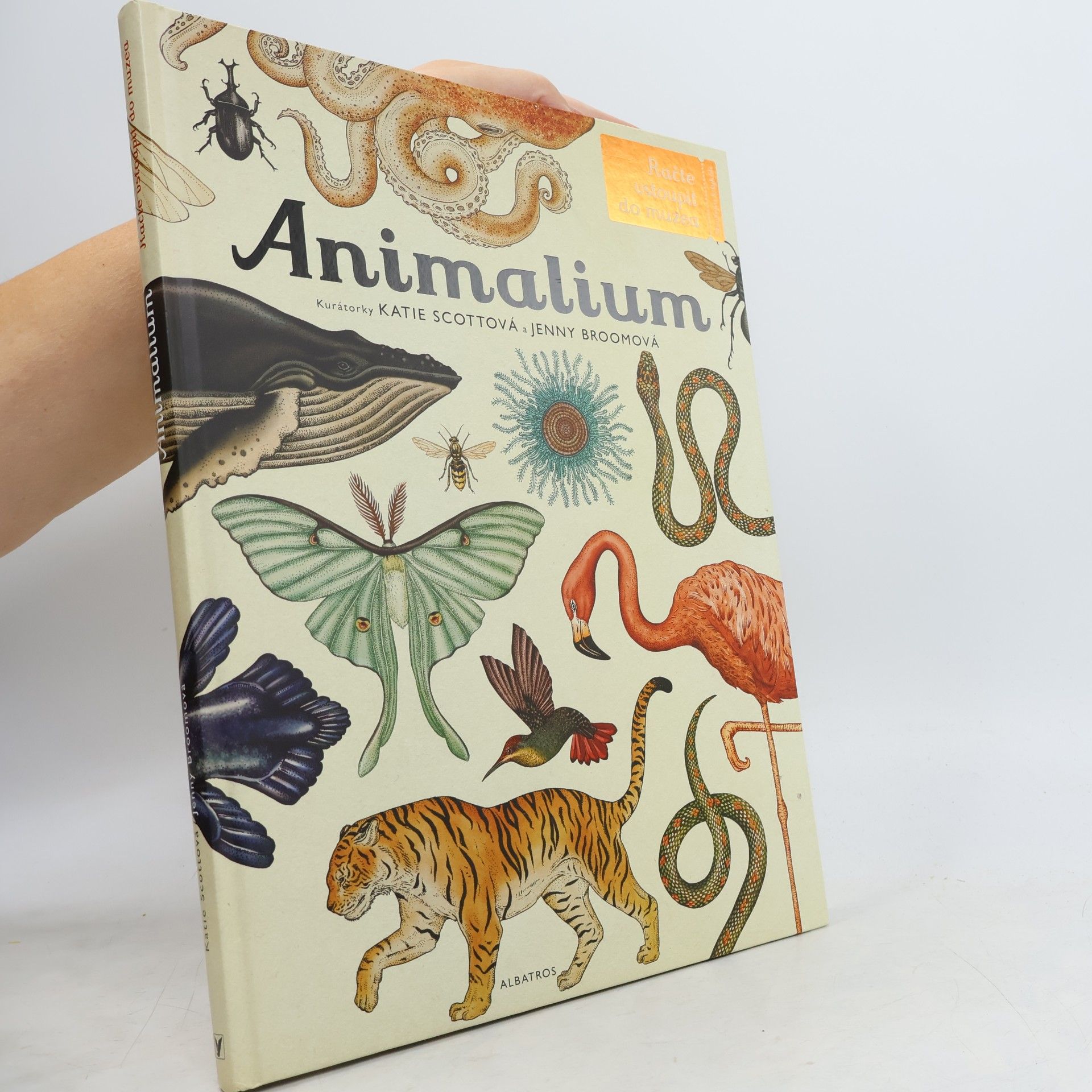 Animalium