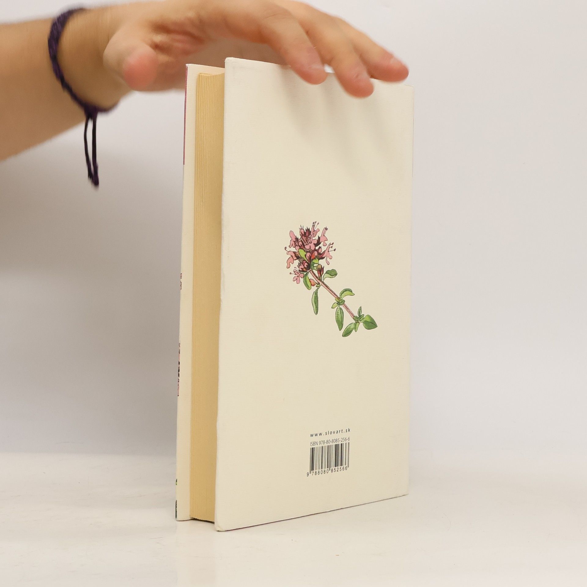 Jane Austen Rozum a cit
