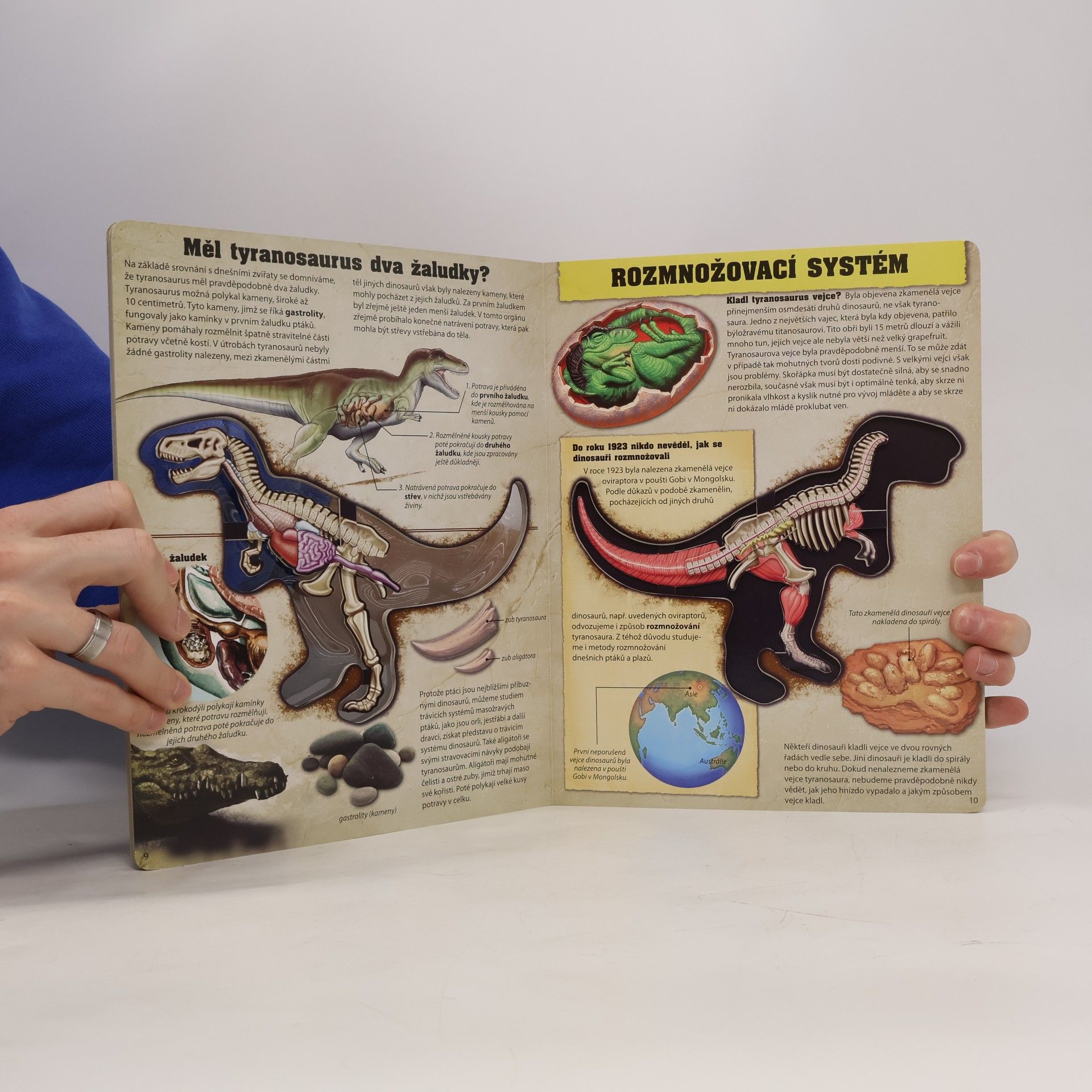 Dennis Schatz Tiranosaurus rex. Poznáváme dinosaury. Prozkoumejte nejslavnějšího dinosaura na světě!