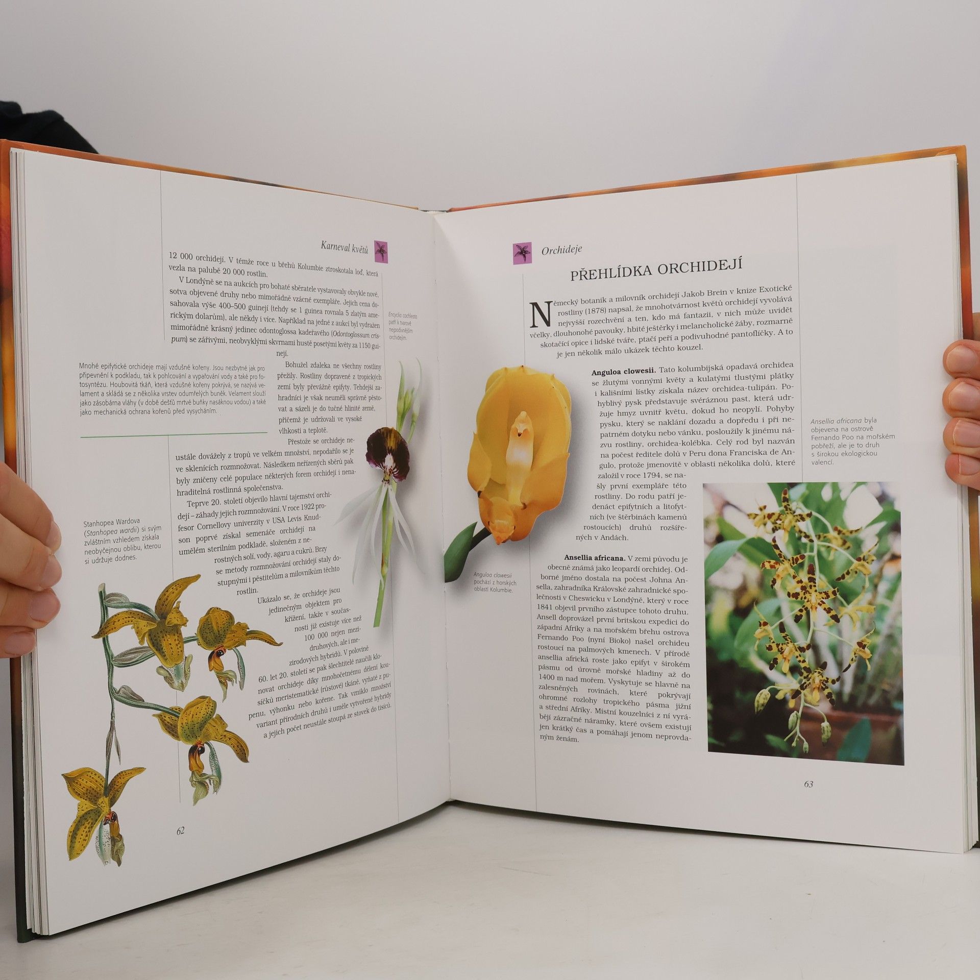 Various authors Nejkrásnější a nejzajímavější květiny světa