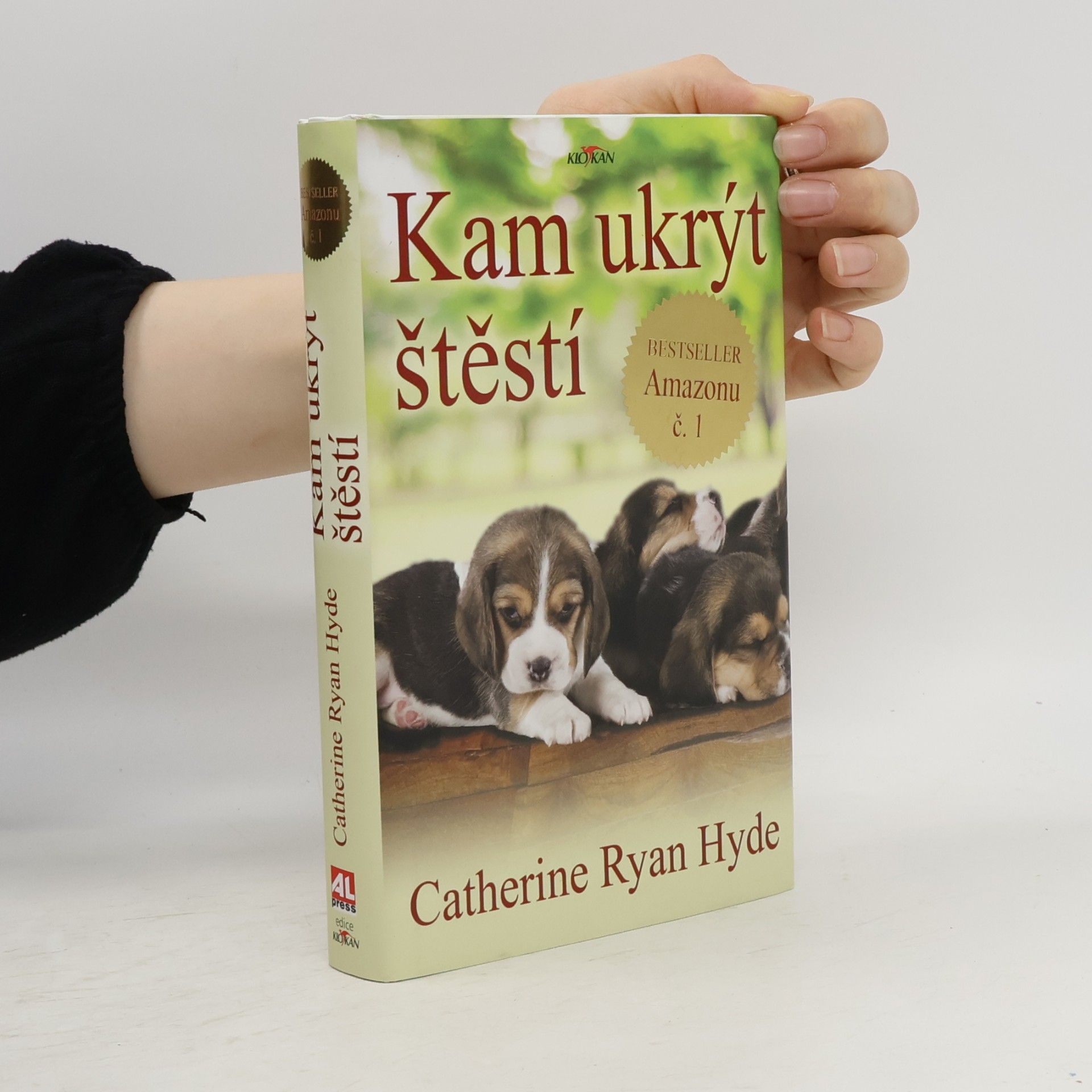 Catherine Ryan Hyde Kam ukrýt štěstí