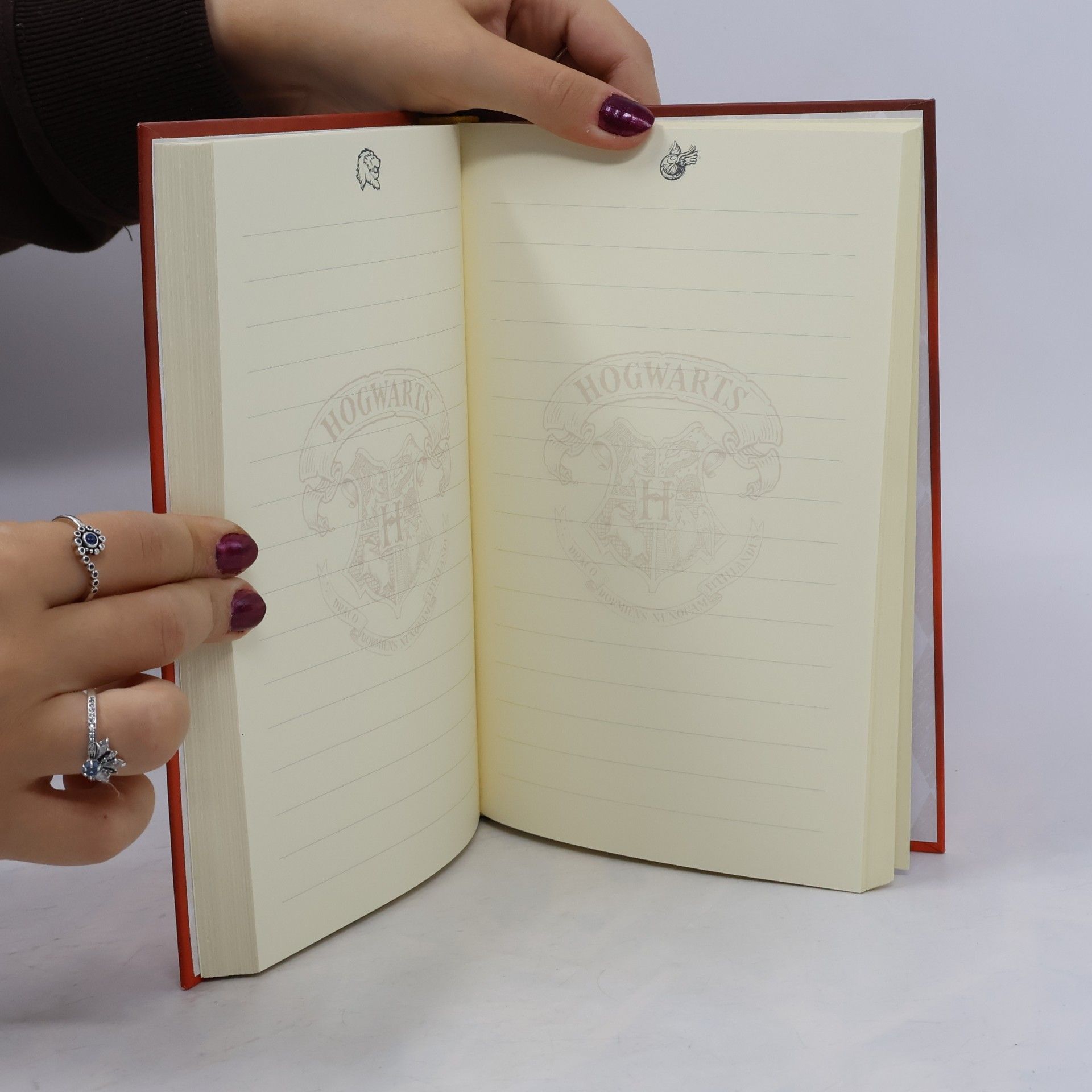 Joanne K. Rowling Harry Potter. Magisches Tagebuch. Ausgabe rot.
