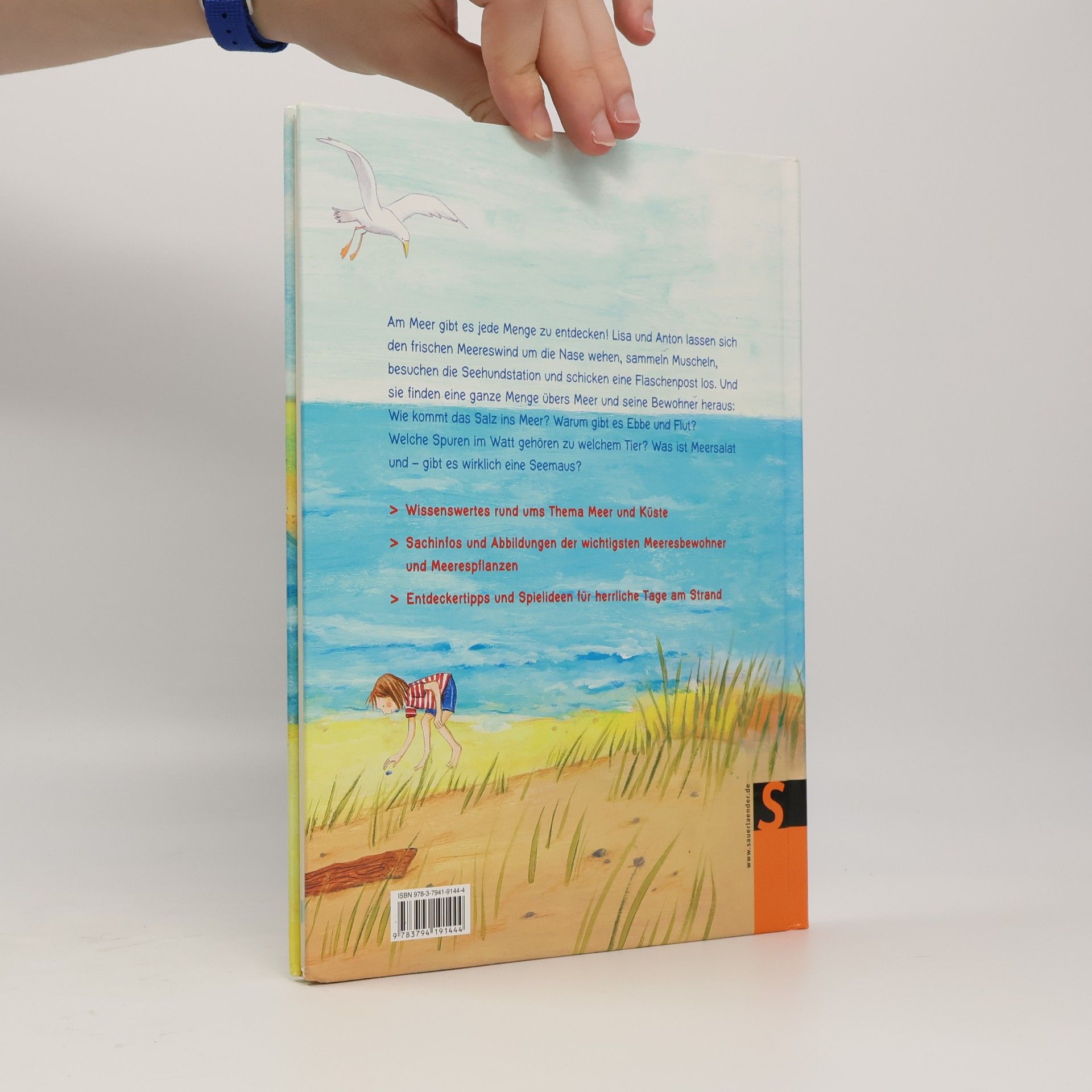 Marion Clausen Möwe, Strand und Flaschenpost
