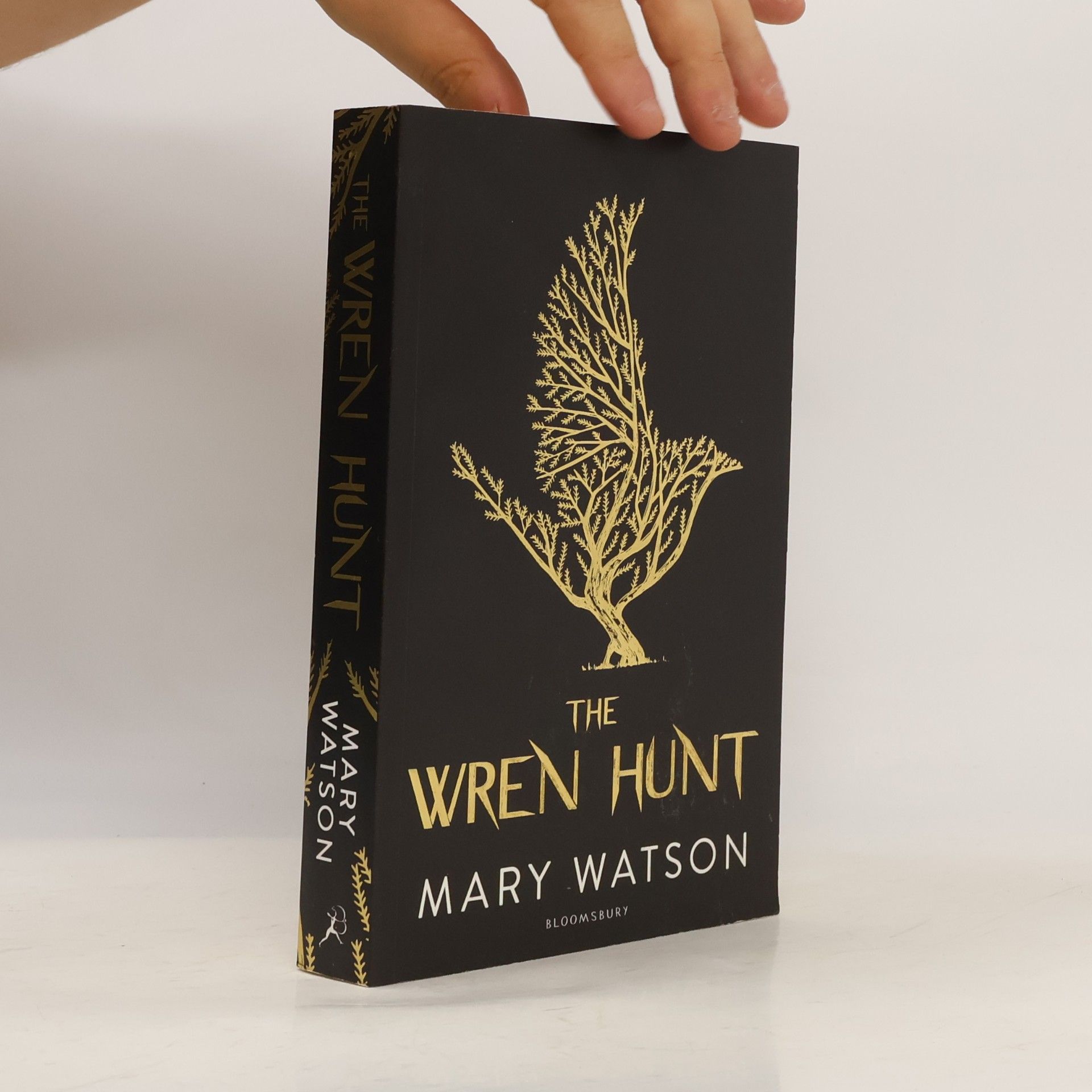 Mary Gordon-Watson The Wren Hunt
