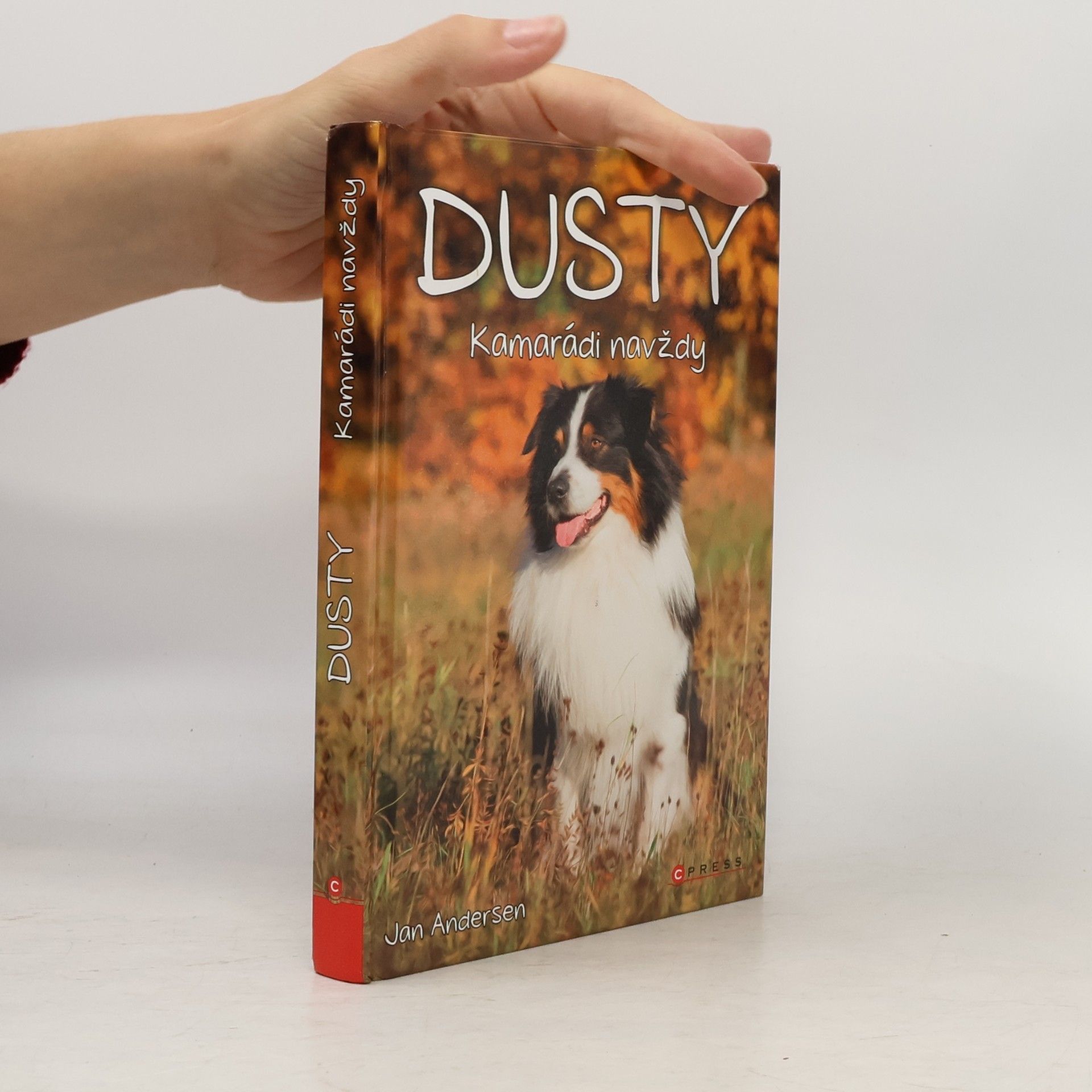 Dusty: Kamarádi navždy