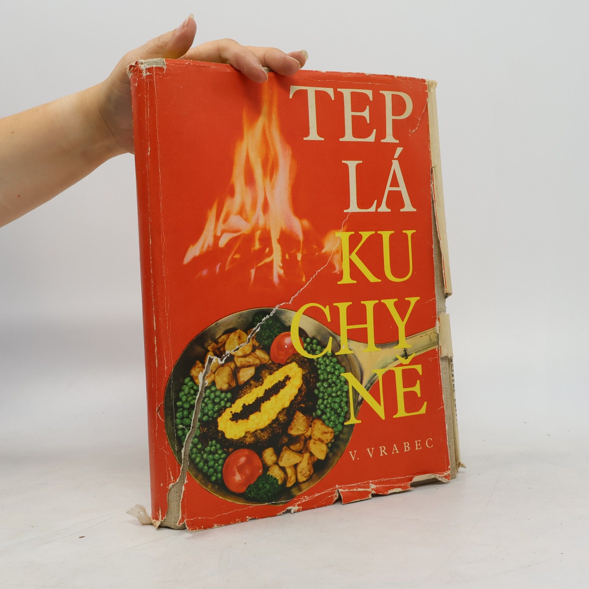 Vilém Vrabec Teplá kuchyně II.