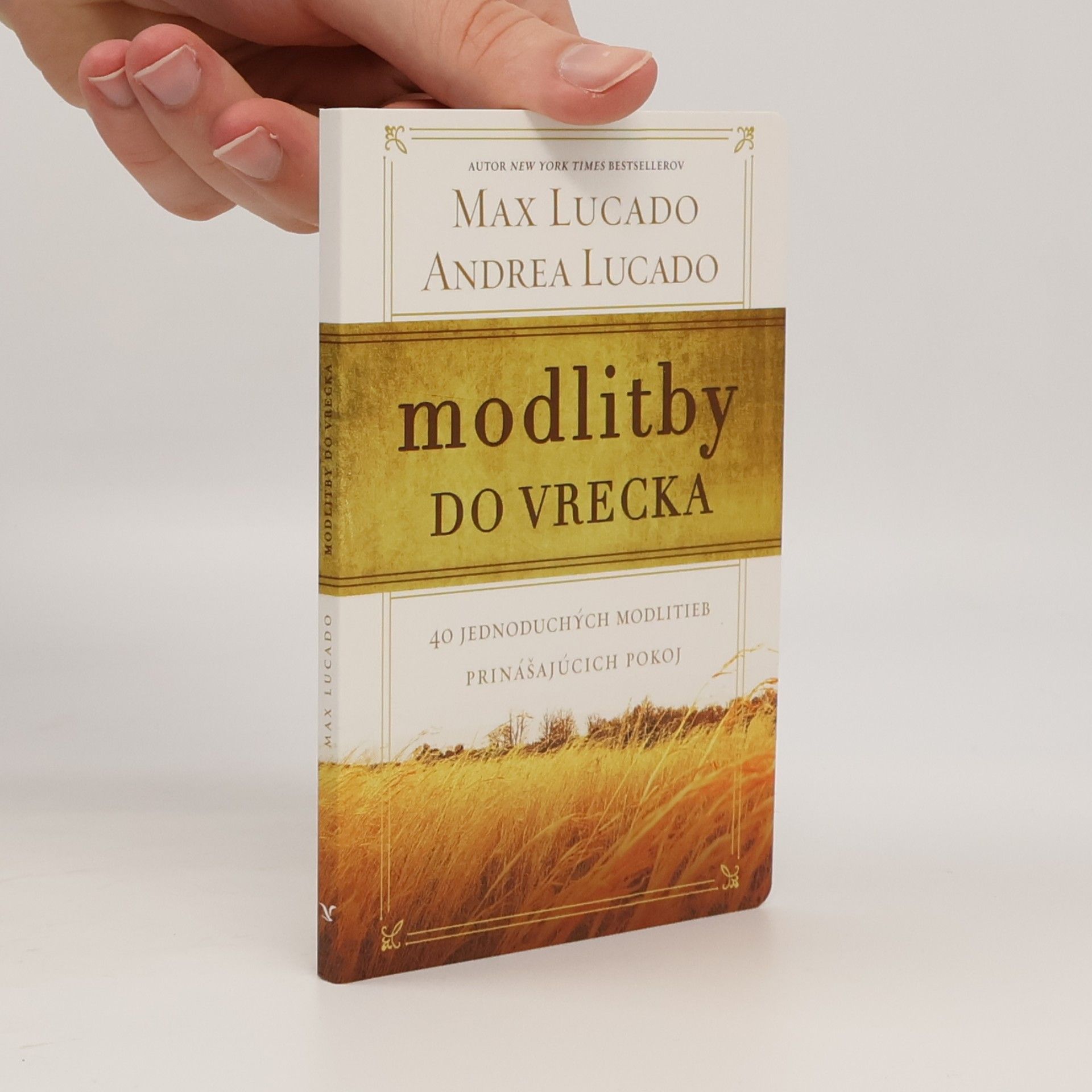 Andrea Lucado Modlitby do vrecka