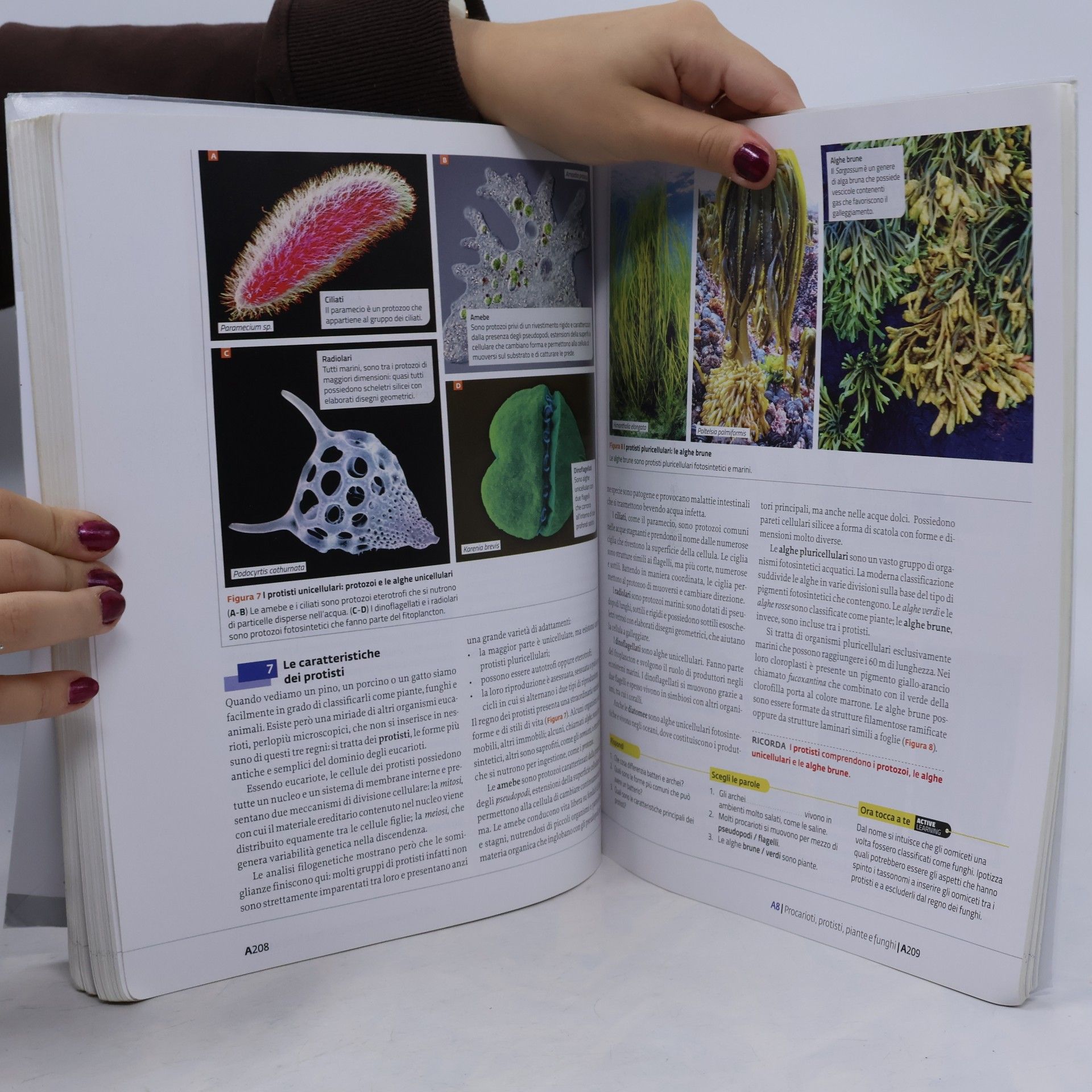 Kolektív autorov La nuova biologia.blu PLUS. La biosfera, la cellula e i viventi