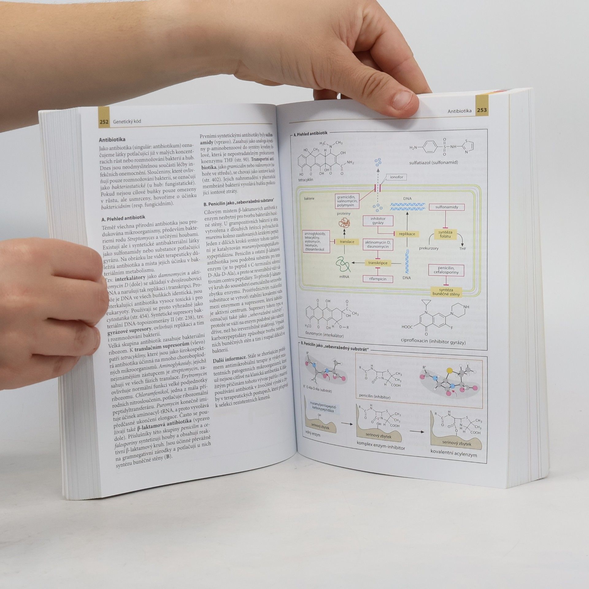 Jan Koolman Barevný atlas biochemie