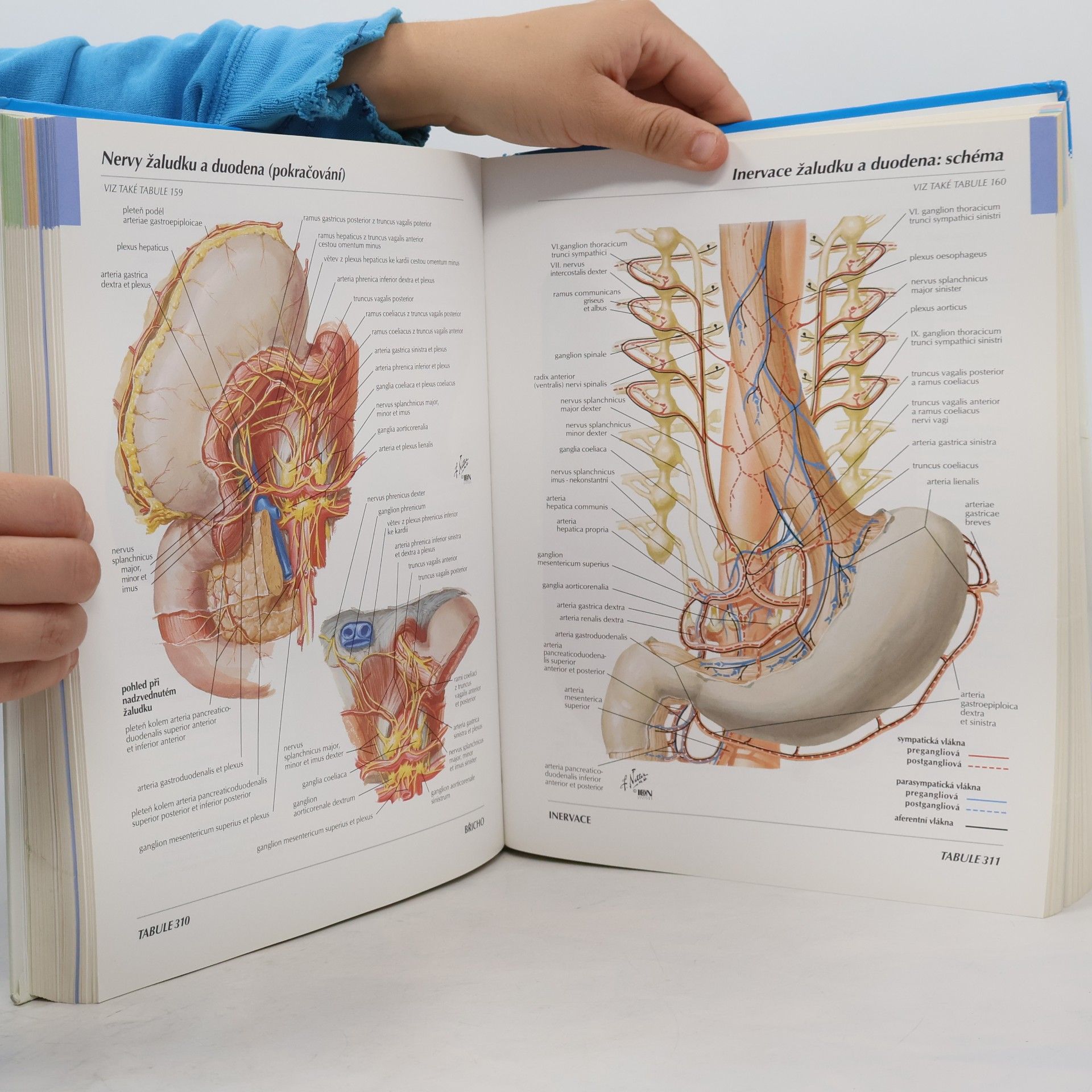 Frank H. Netter Anatomický atlas člověka