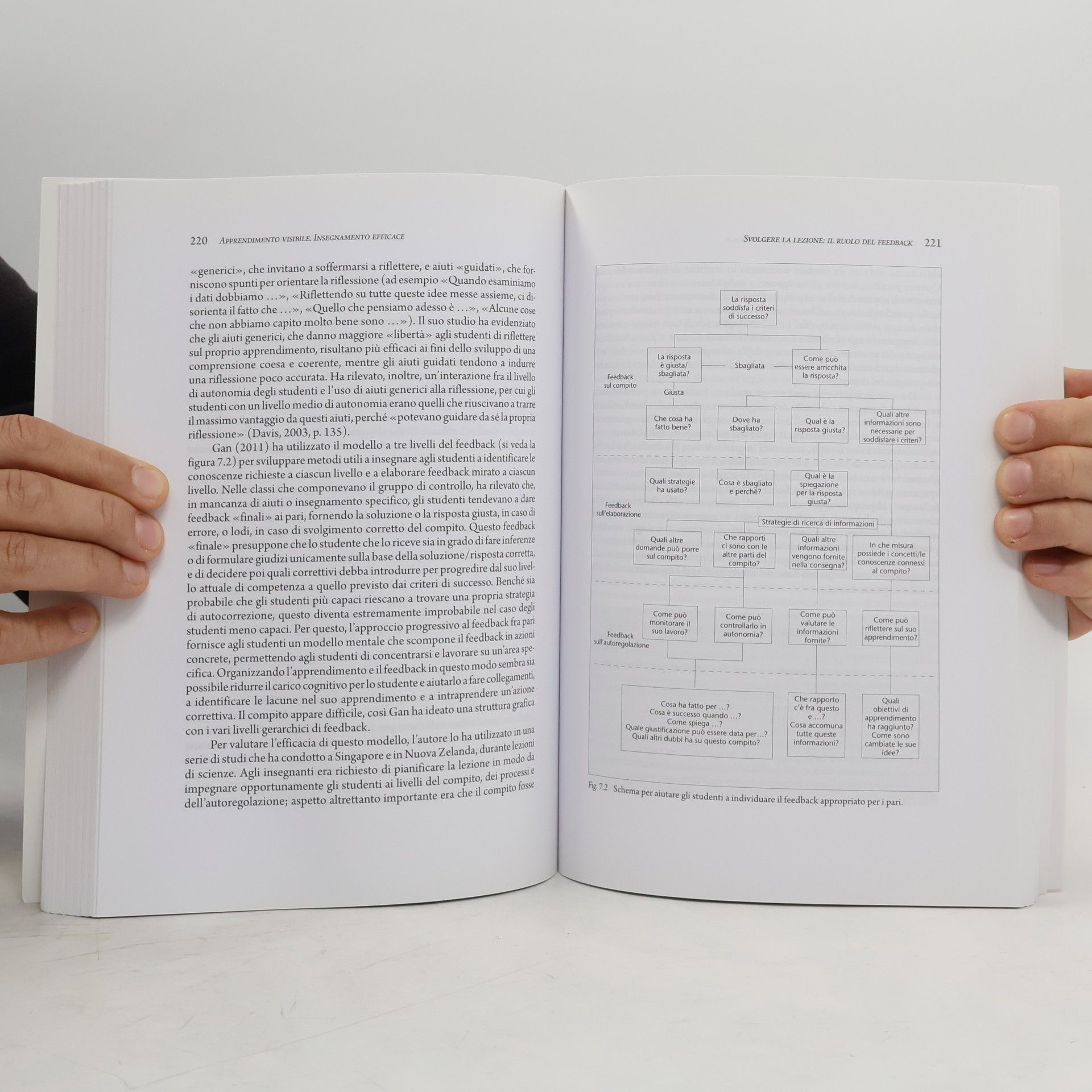 John Hattie Le guide Erickson: Apprendimento visibile, insegnamento efficace - Edizione italiana a cura di Giuliano Vivanet
