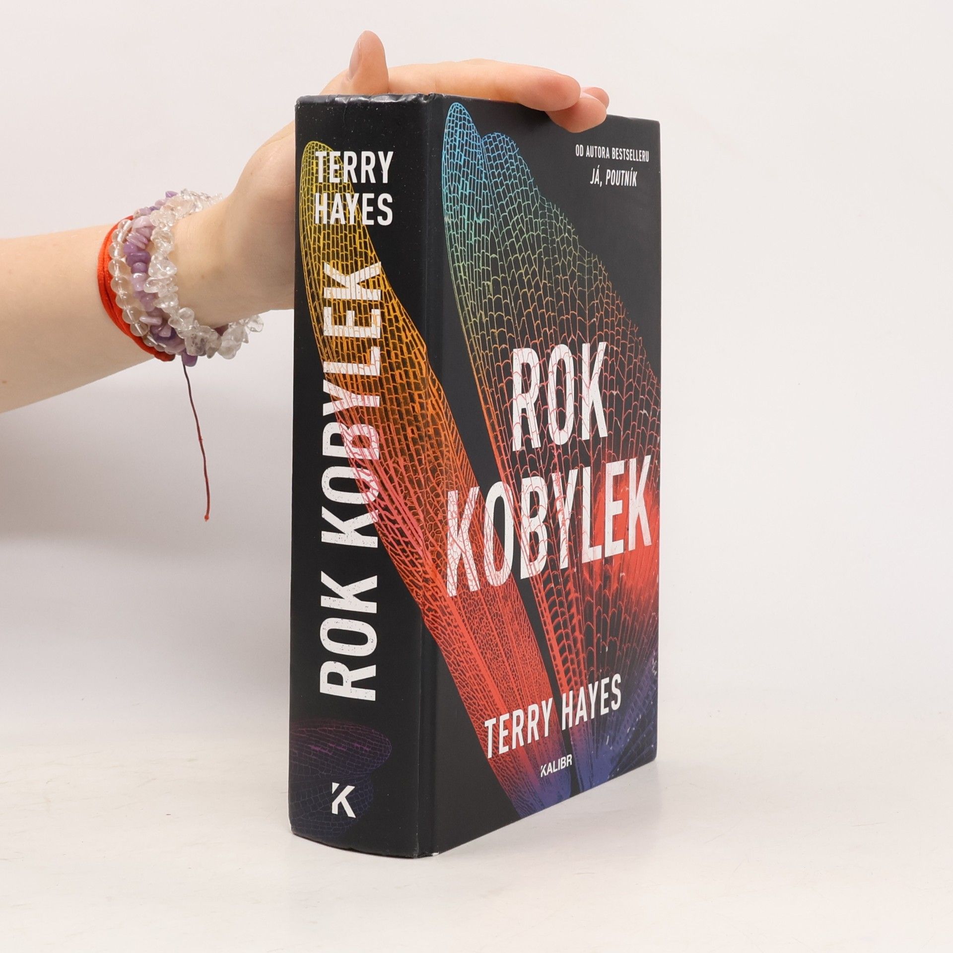 Terry Hayes Rok kobylek