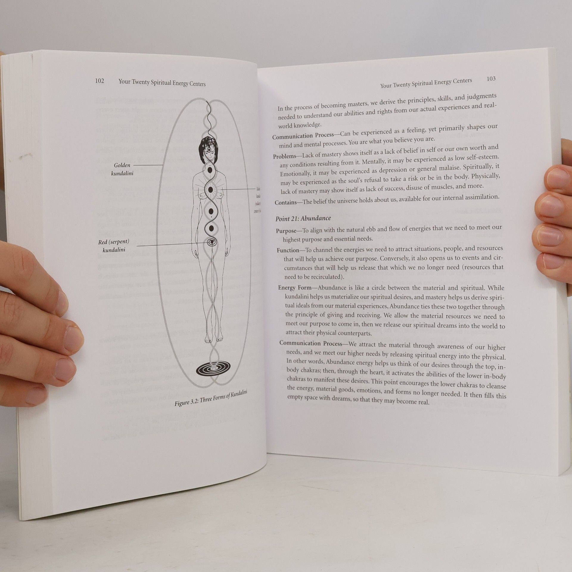 Cyndi Dale The Complete Book of Chakra Healing