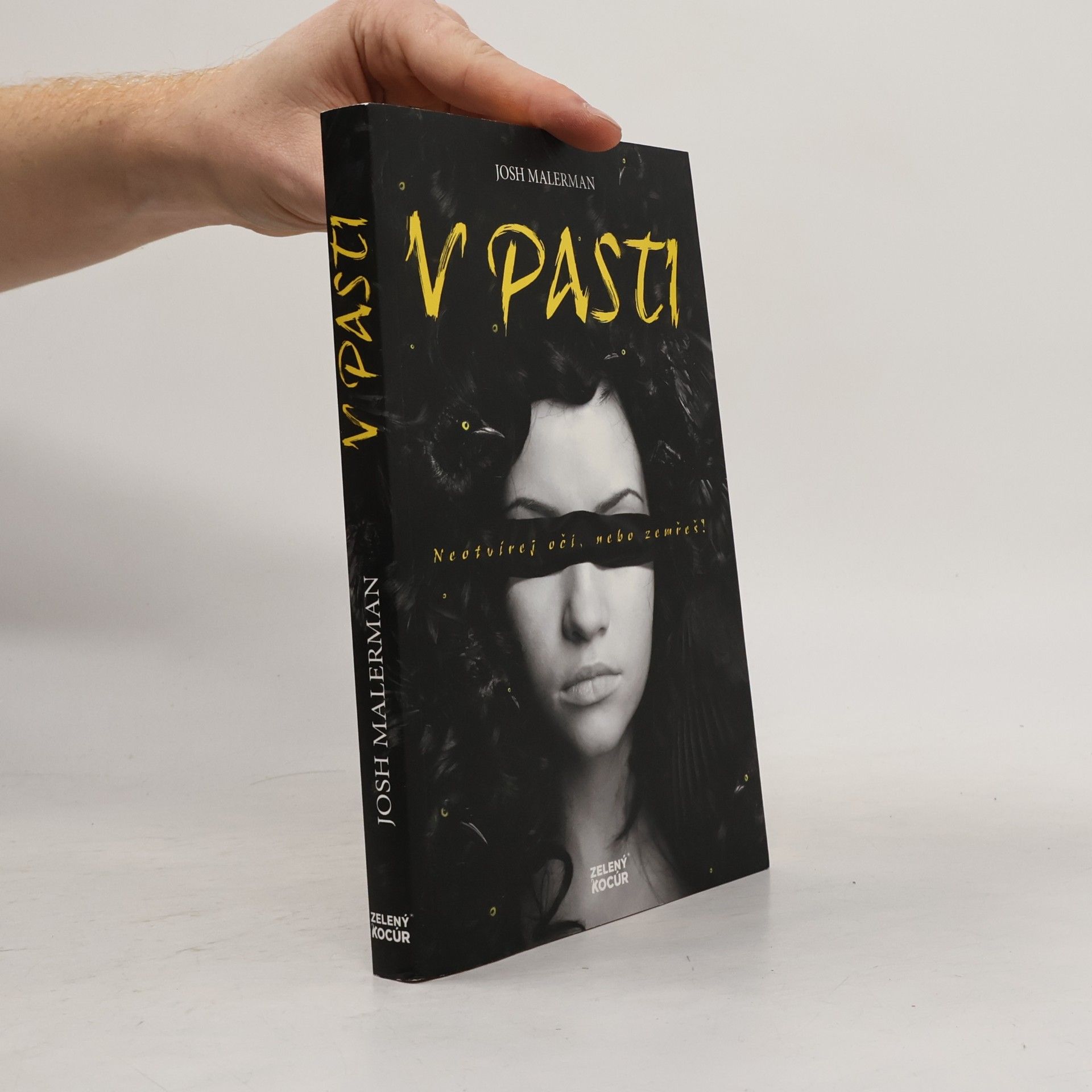 Josh Malerman V pasti