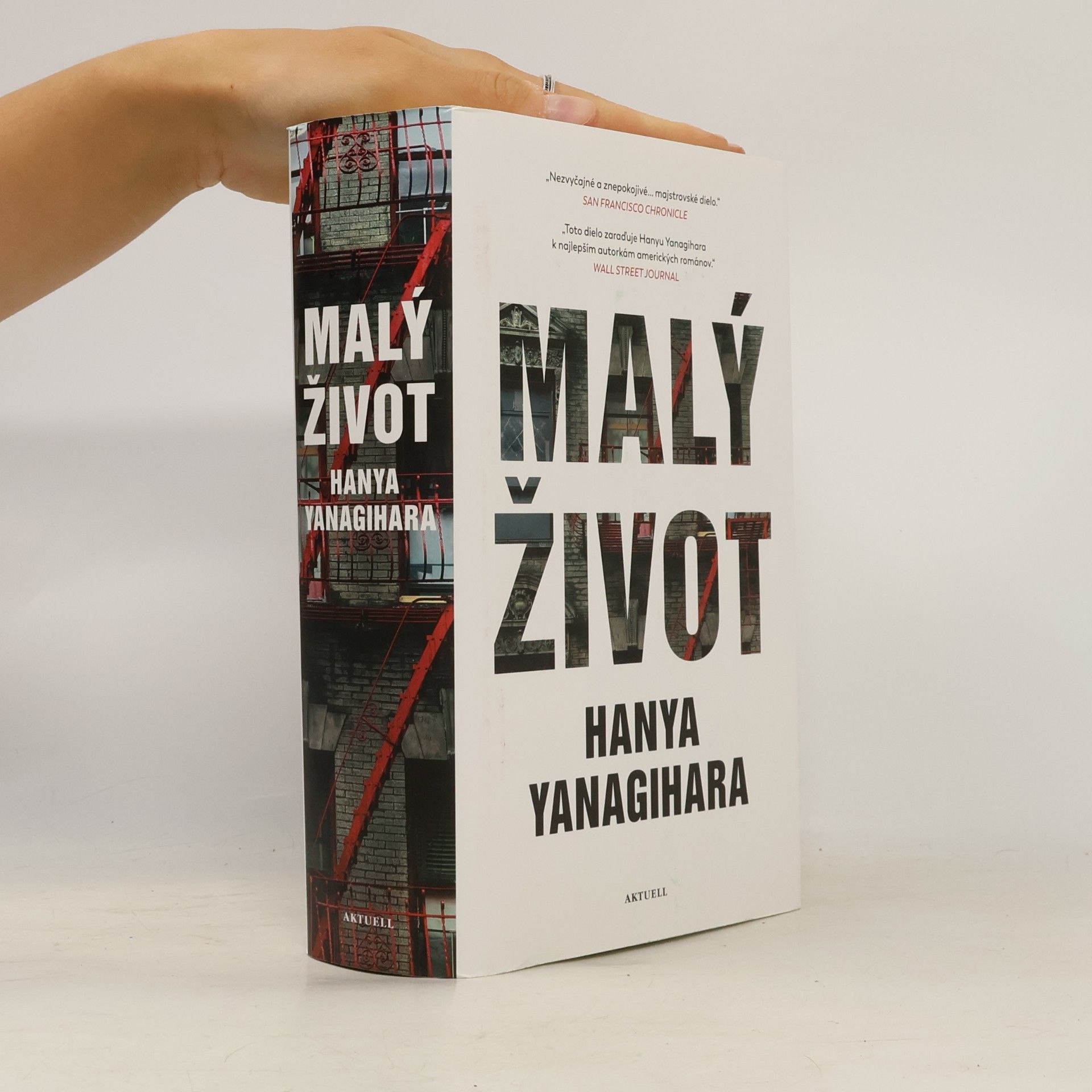 Hanya Yanagihara Malý život