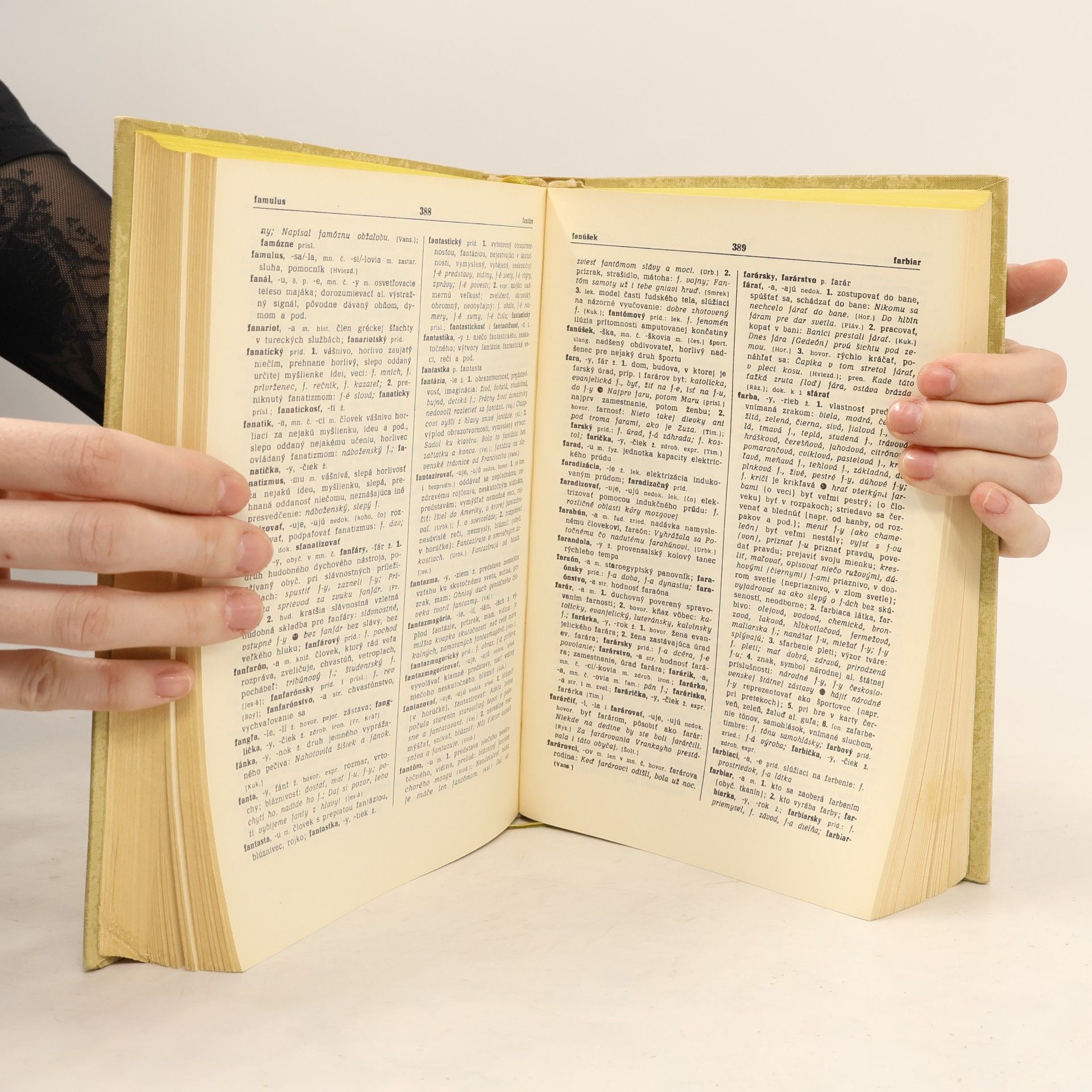 Autorenkollektiv Slovník slovenského jazyka I. a-k