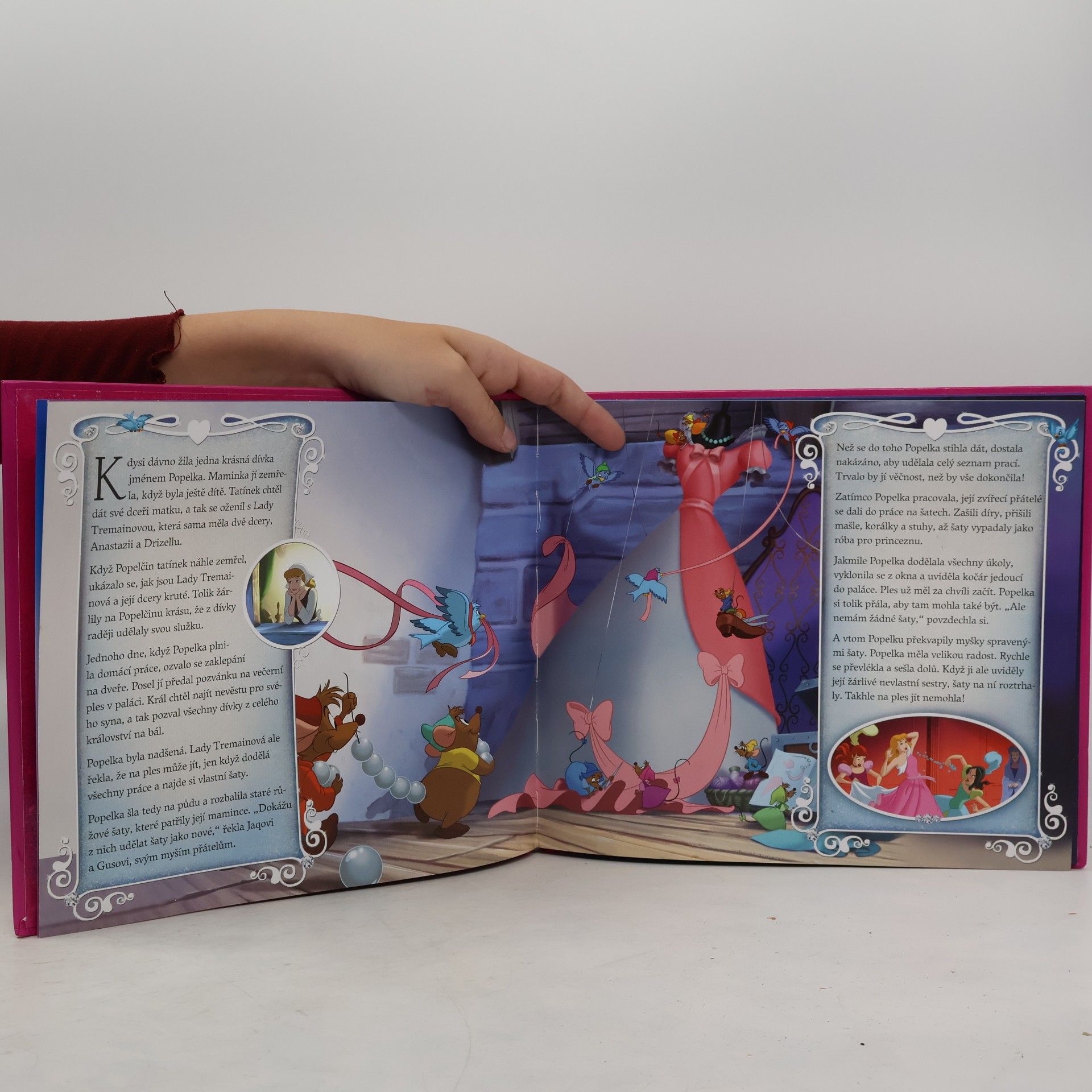 Andrea Vašíčková Disney princezny : okouzlující 3D efekty