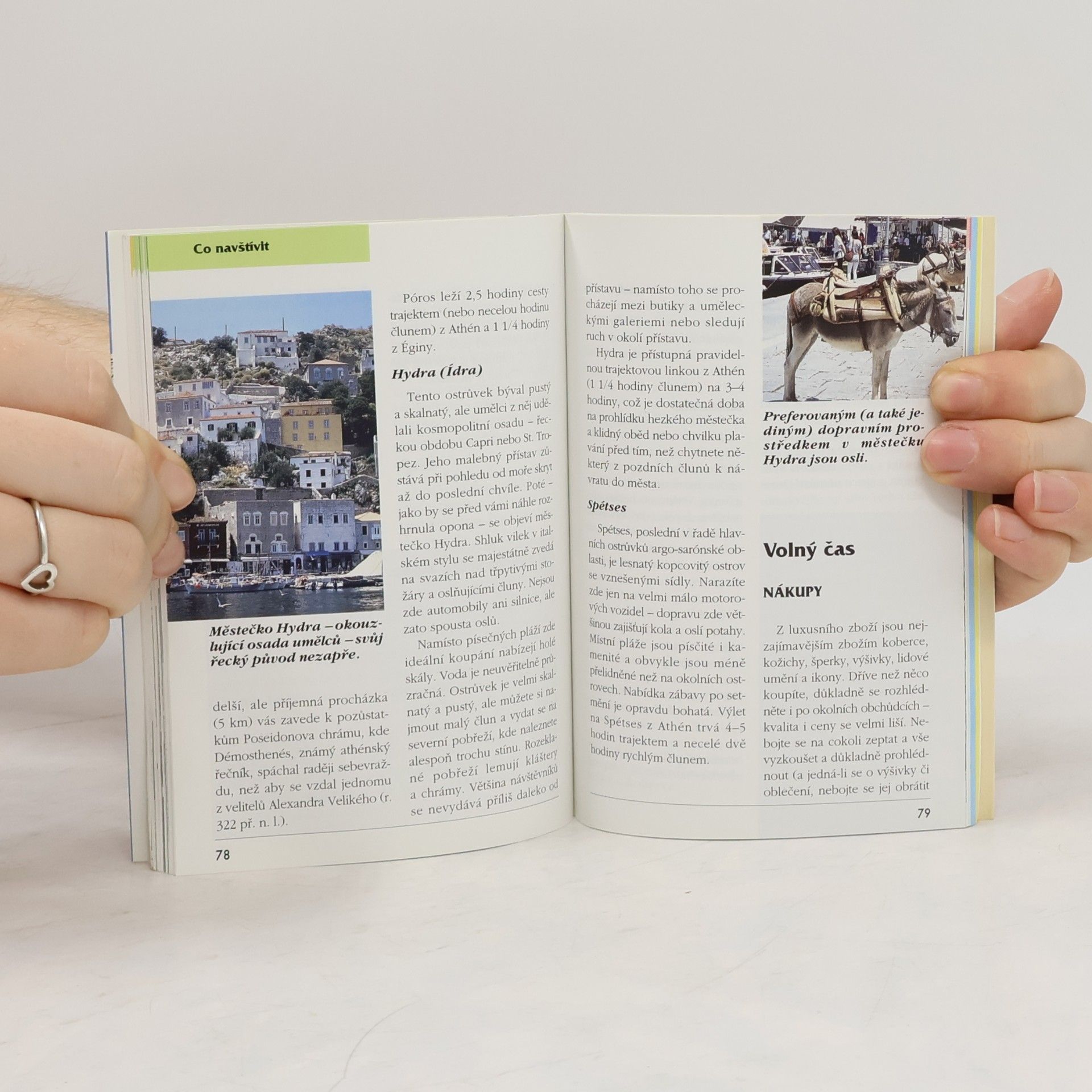 Donna Dailey Athény, průvodce do kapsy