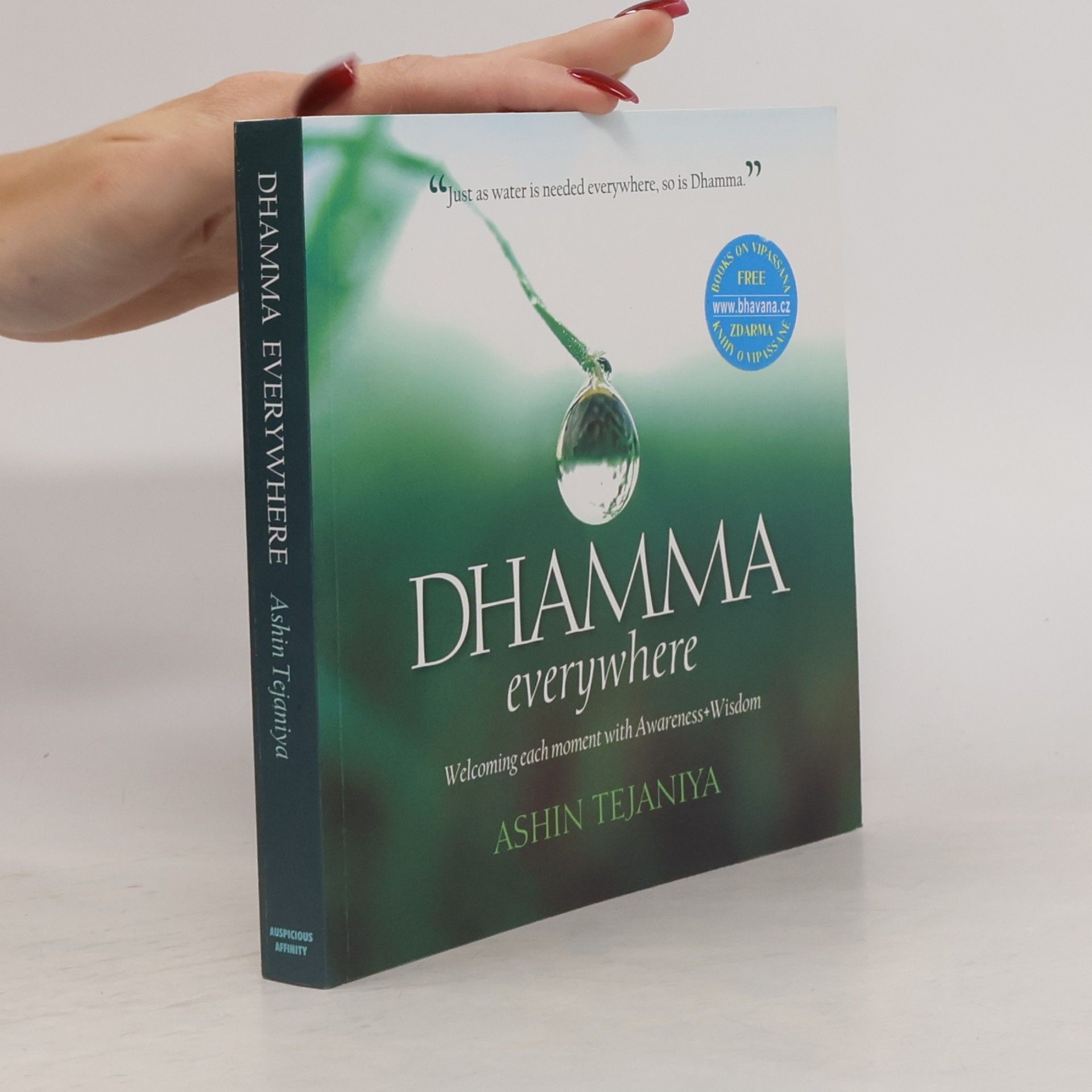 Ashin Tejaniya Dhamma Everywhere