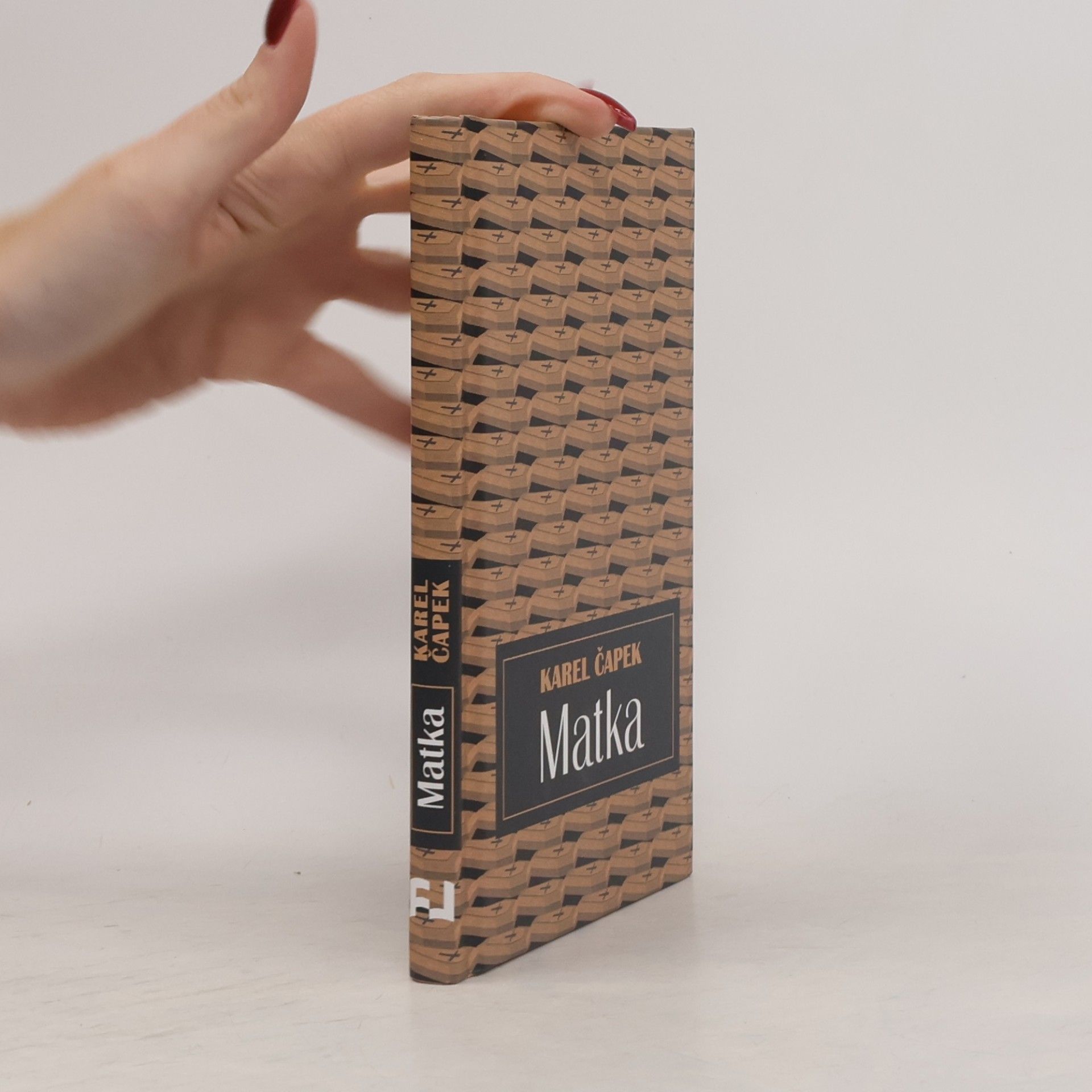Karel Čapek Matka