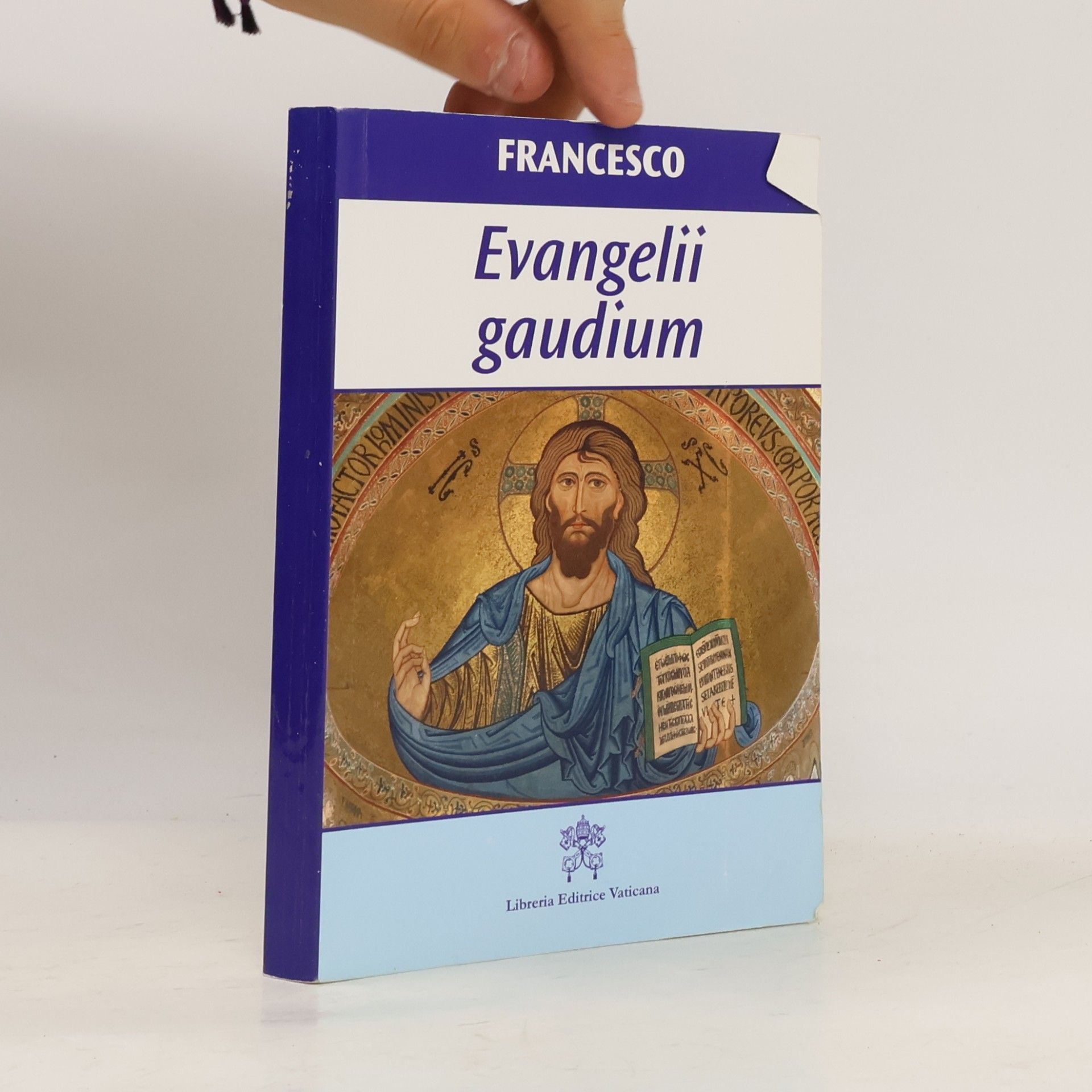 Pápež František Evangelii gaudium