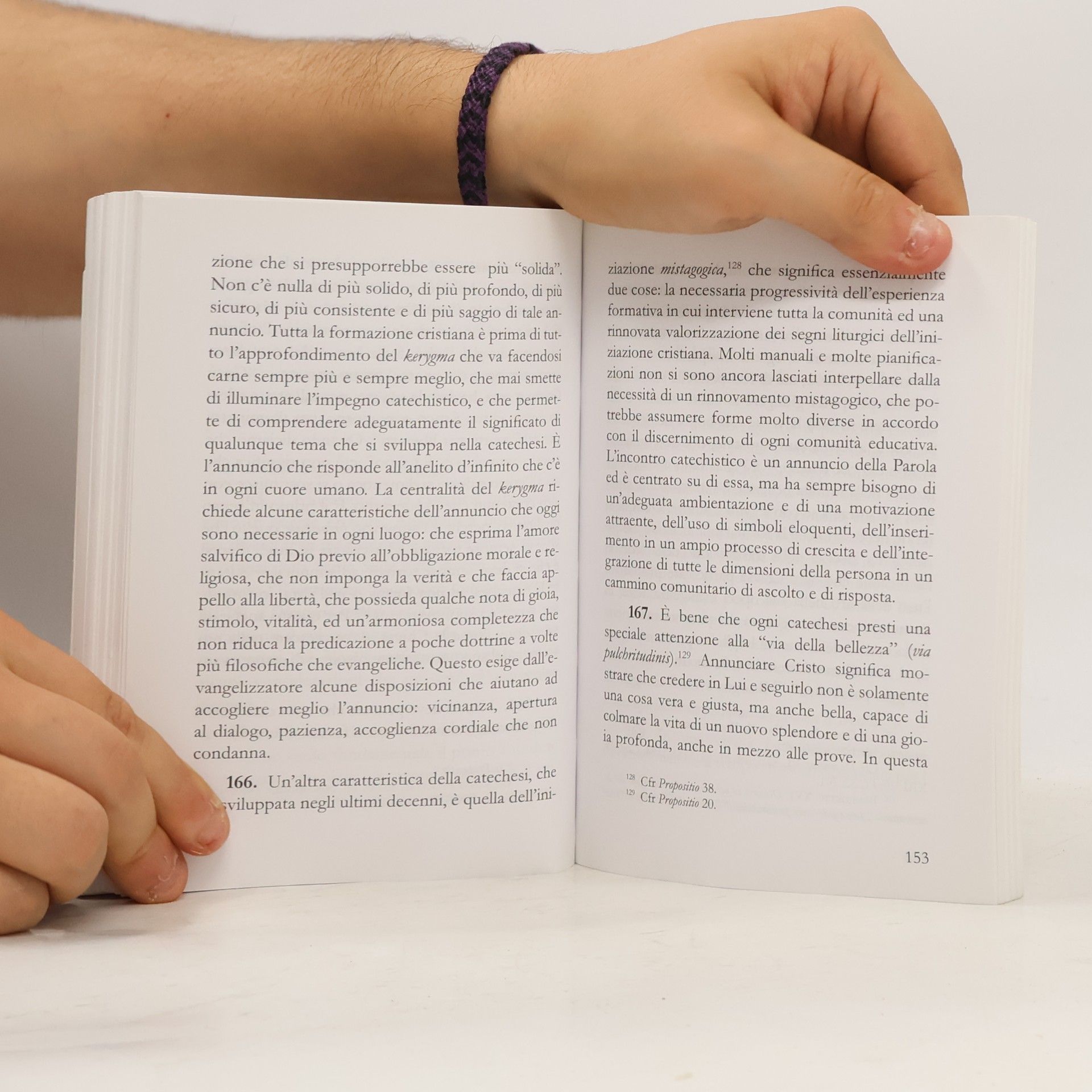 Pápež František Evangelii gaudium