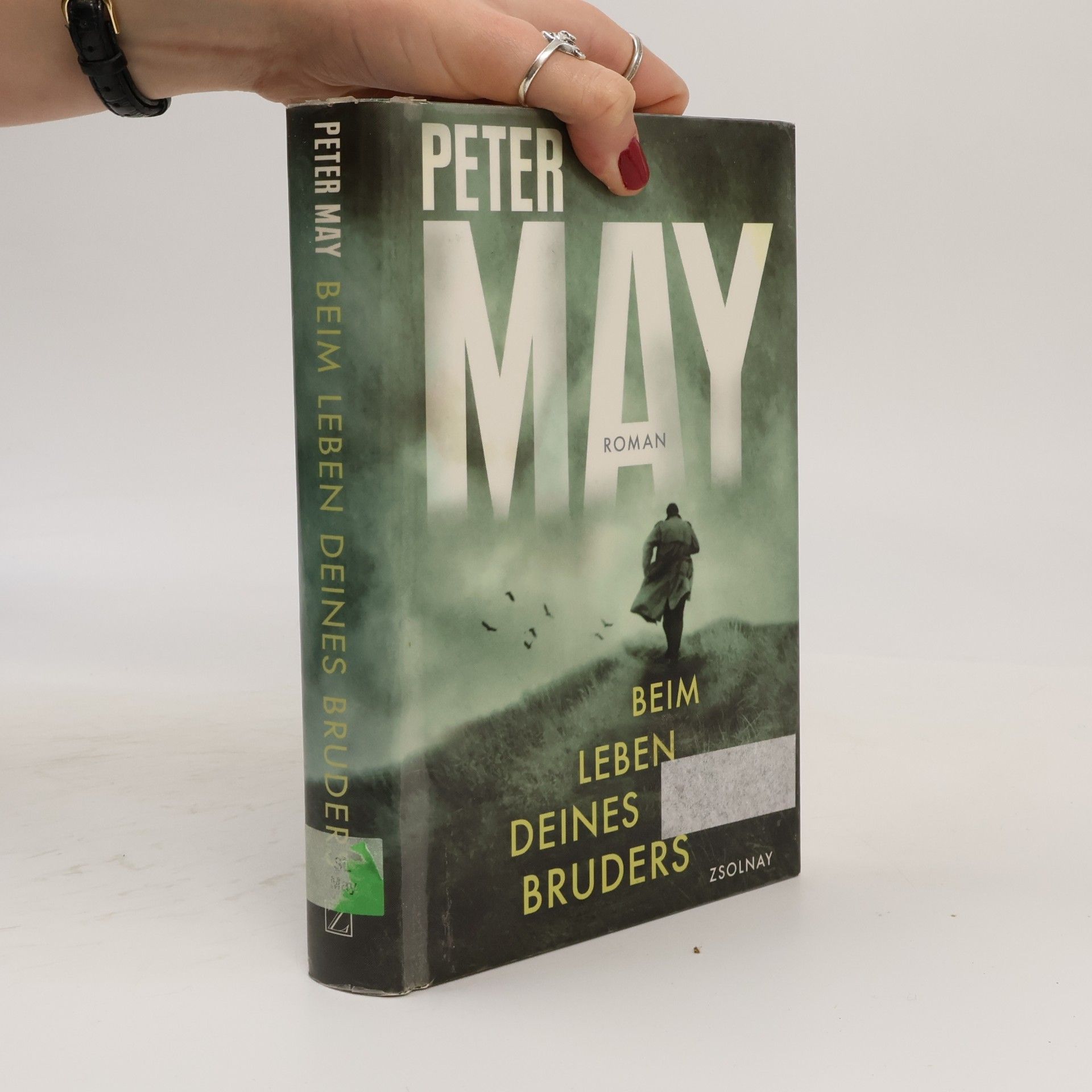 Peter May Beim Leben deines Bruders