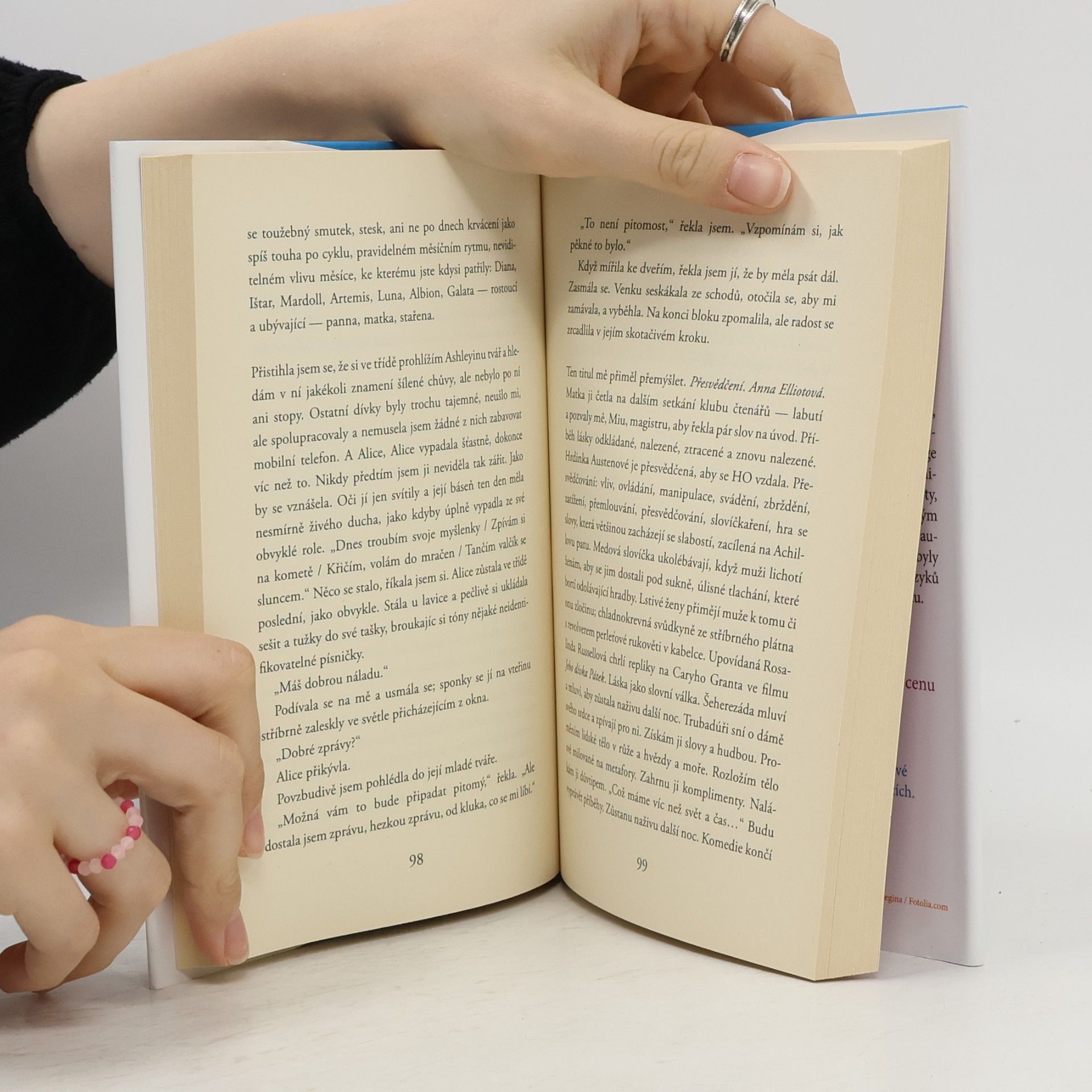 Siri Hustvedt Léto bez mužů