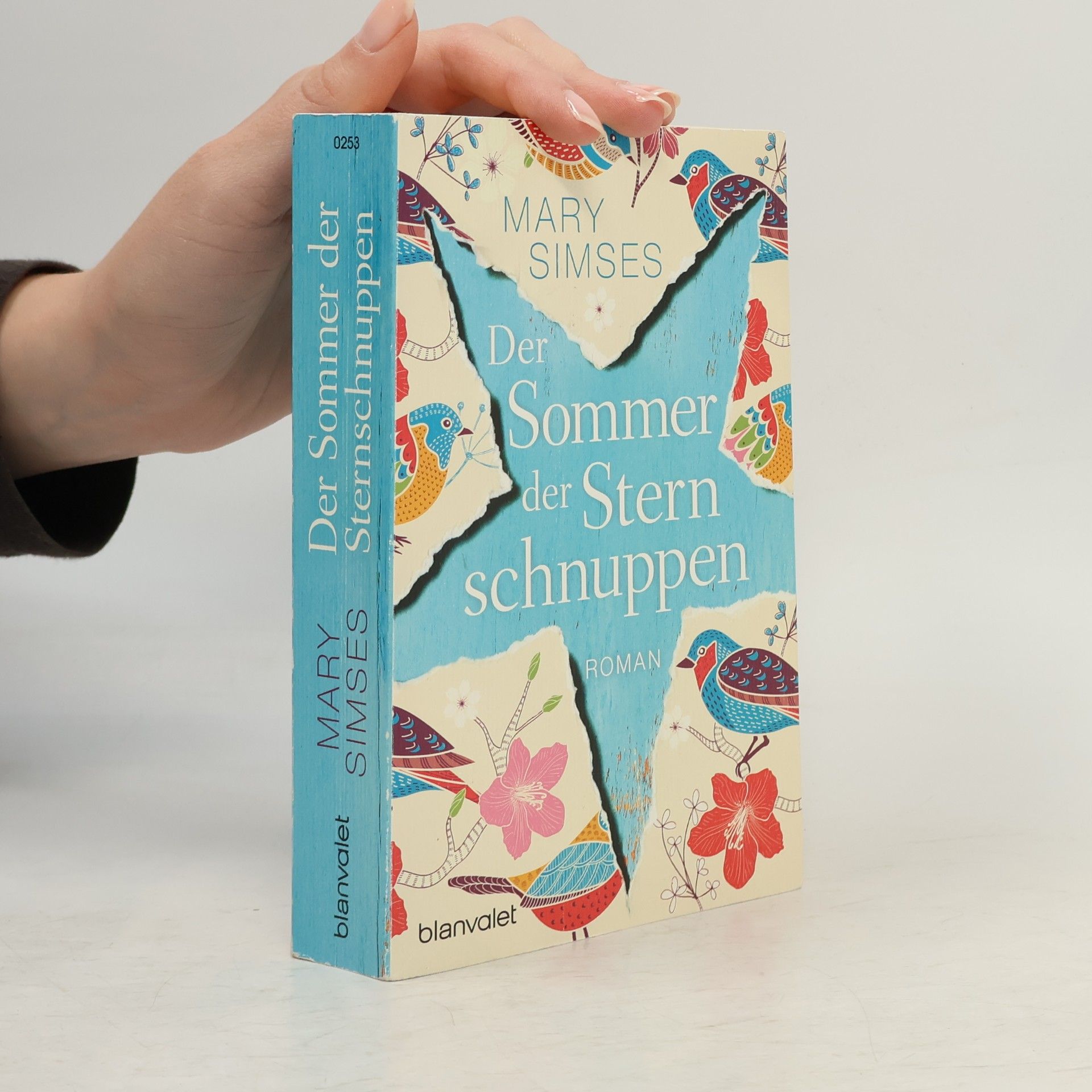 Mary Simses Der Sommer der Sternschnuppen